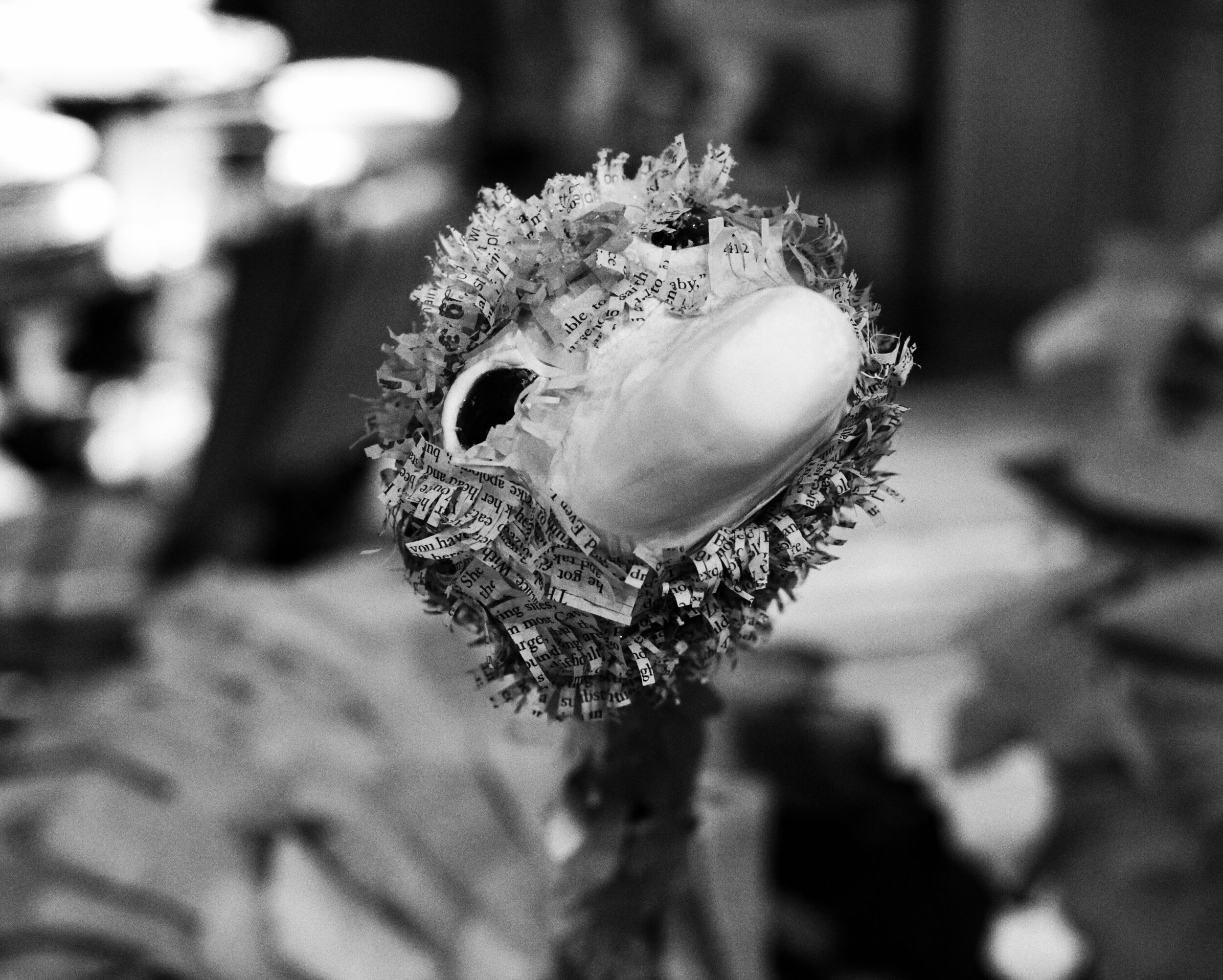 Paper Ostrich Head-b&w.jpg