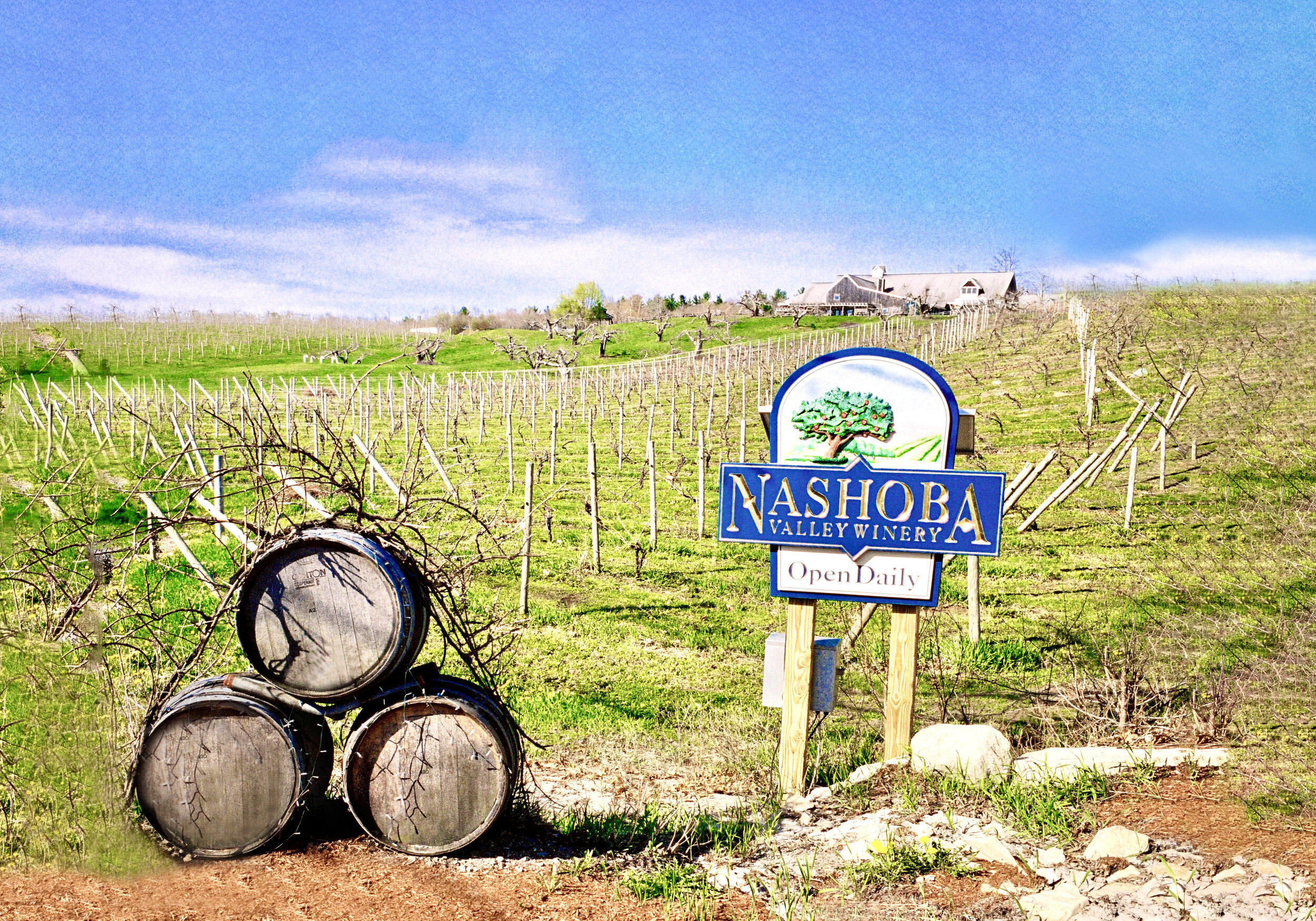 Nashoba Valley Winery view.jpg