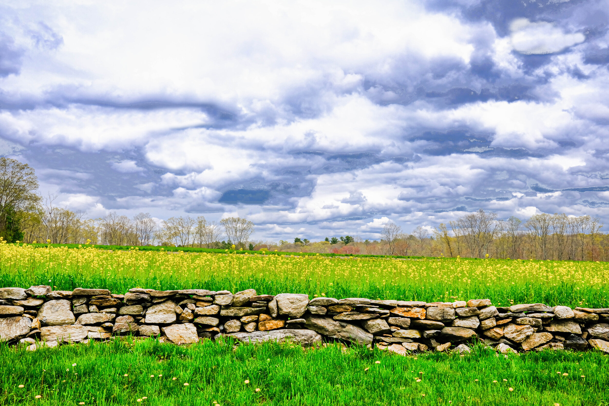 the wall and the clouds-Sutton.jpg