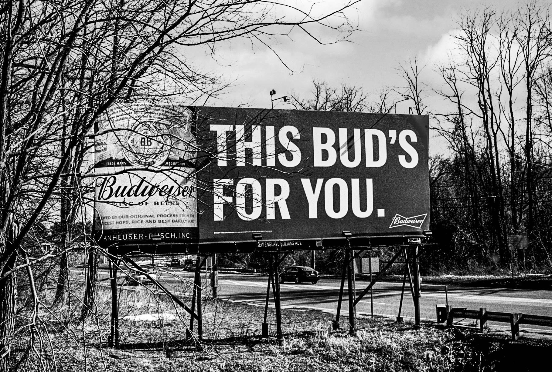 This Bud's for you-Northhampton, MA.jpg