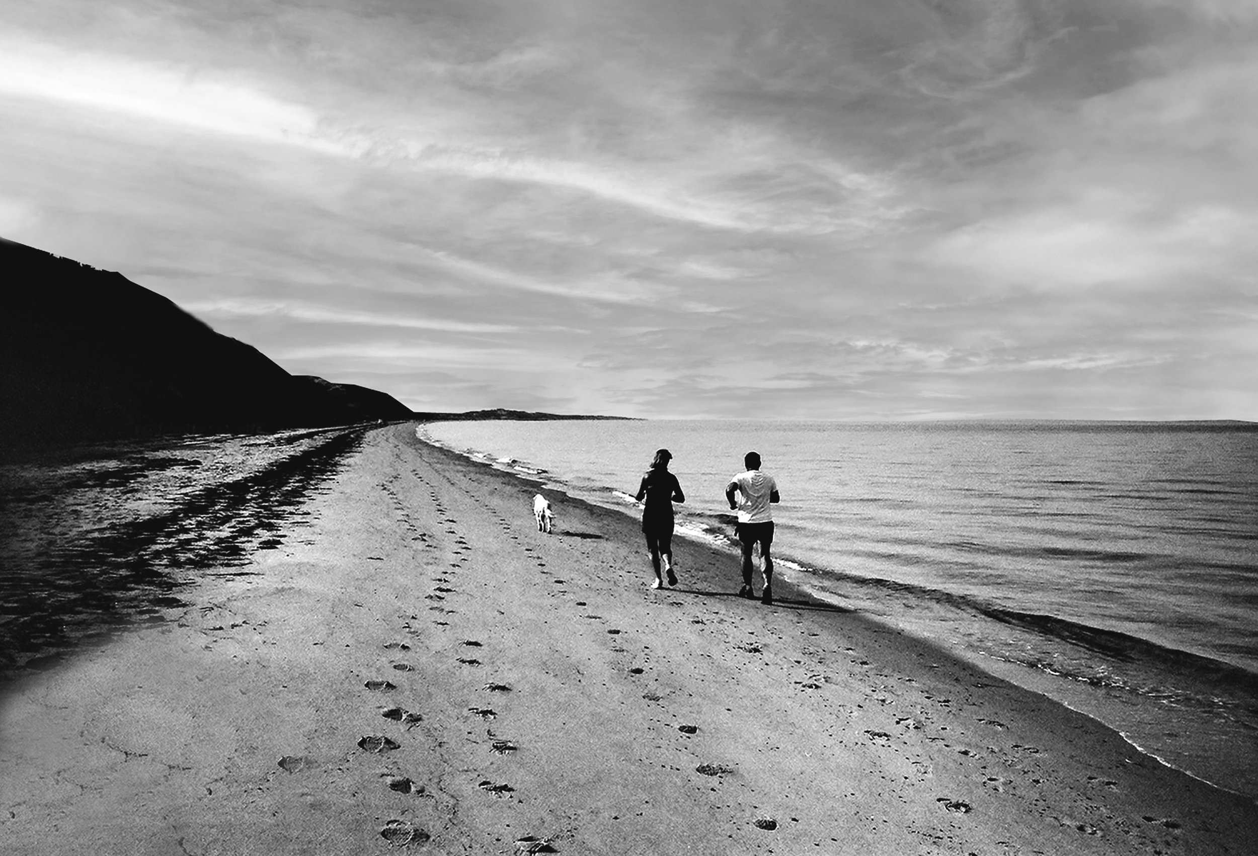 2 runners and a dog-Truro.jpg