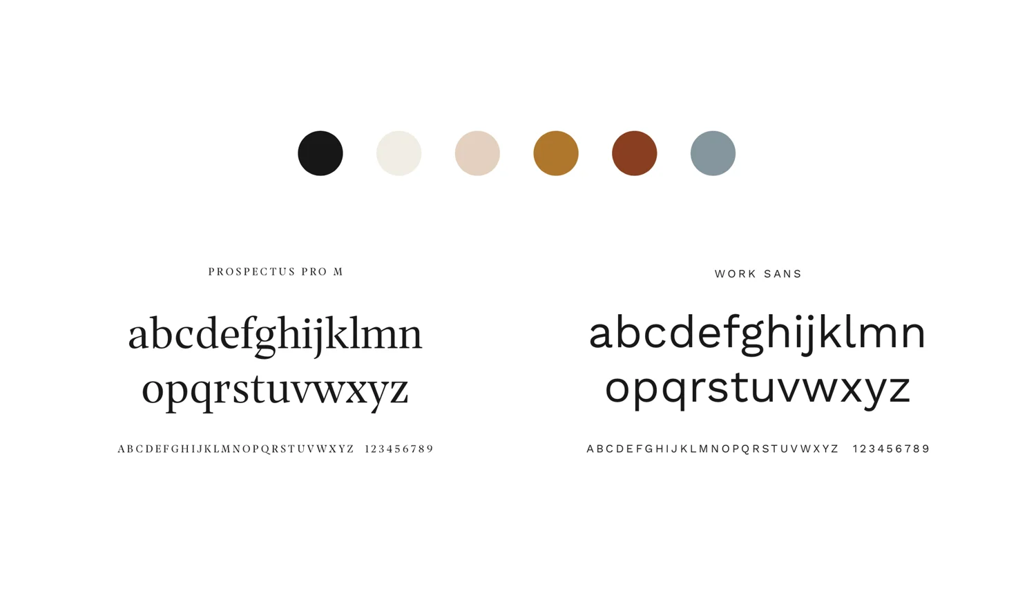 ColorTypography.jpg