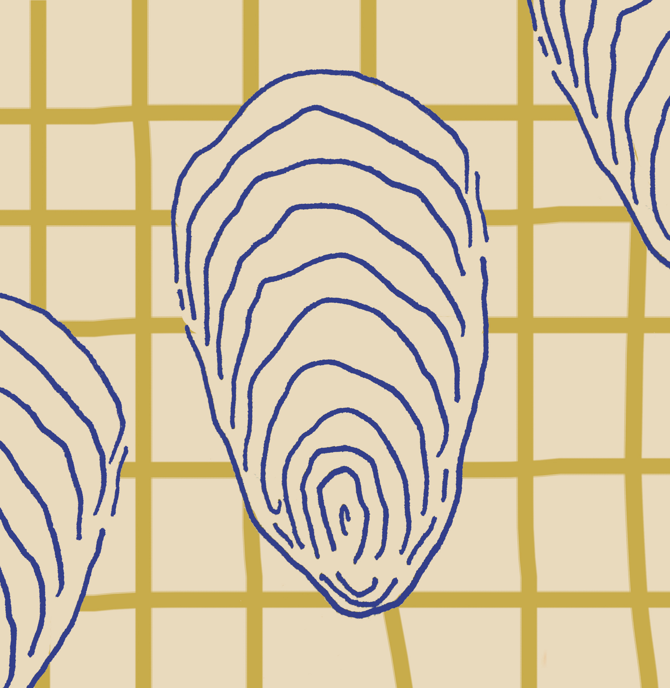 oyster2.jpg