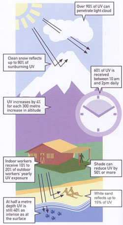 UV light is sneaky and may be getting to your skin and your eyes in situations you might not expect such as underwater, on cloudy days or getting a double dose from light reflected off of snow or water!