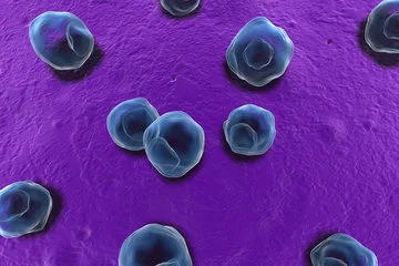 My eye doctor can detect which disease? - Chlamydia