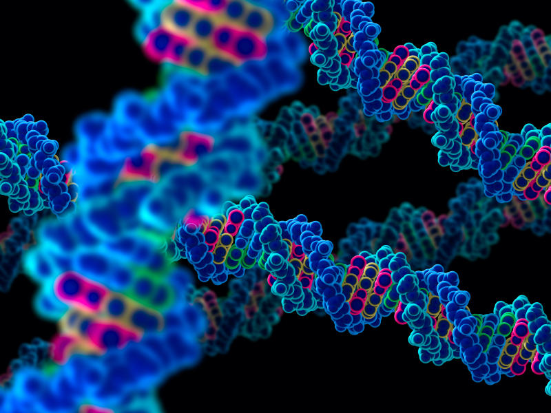 It's all in your genes.