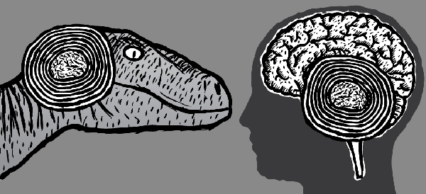 Episode 26: Lizard vs Human
