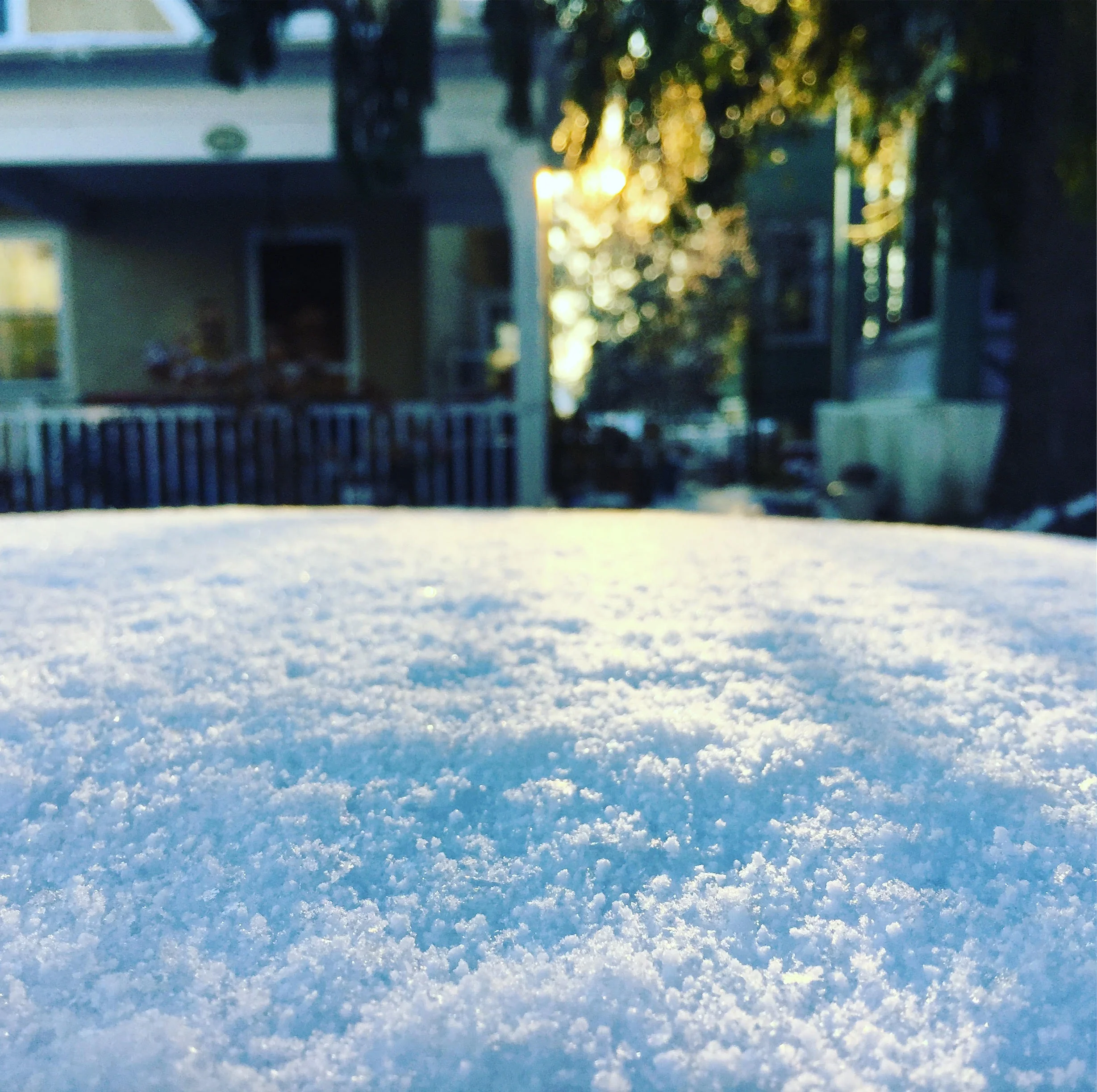 winter of listening 2018-1-6.jpg