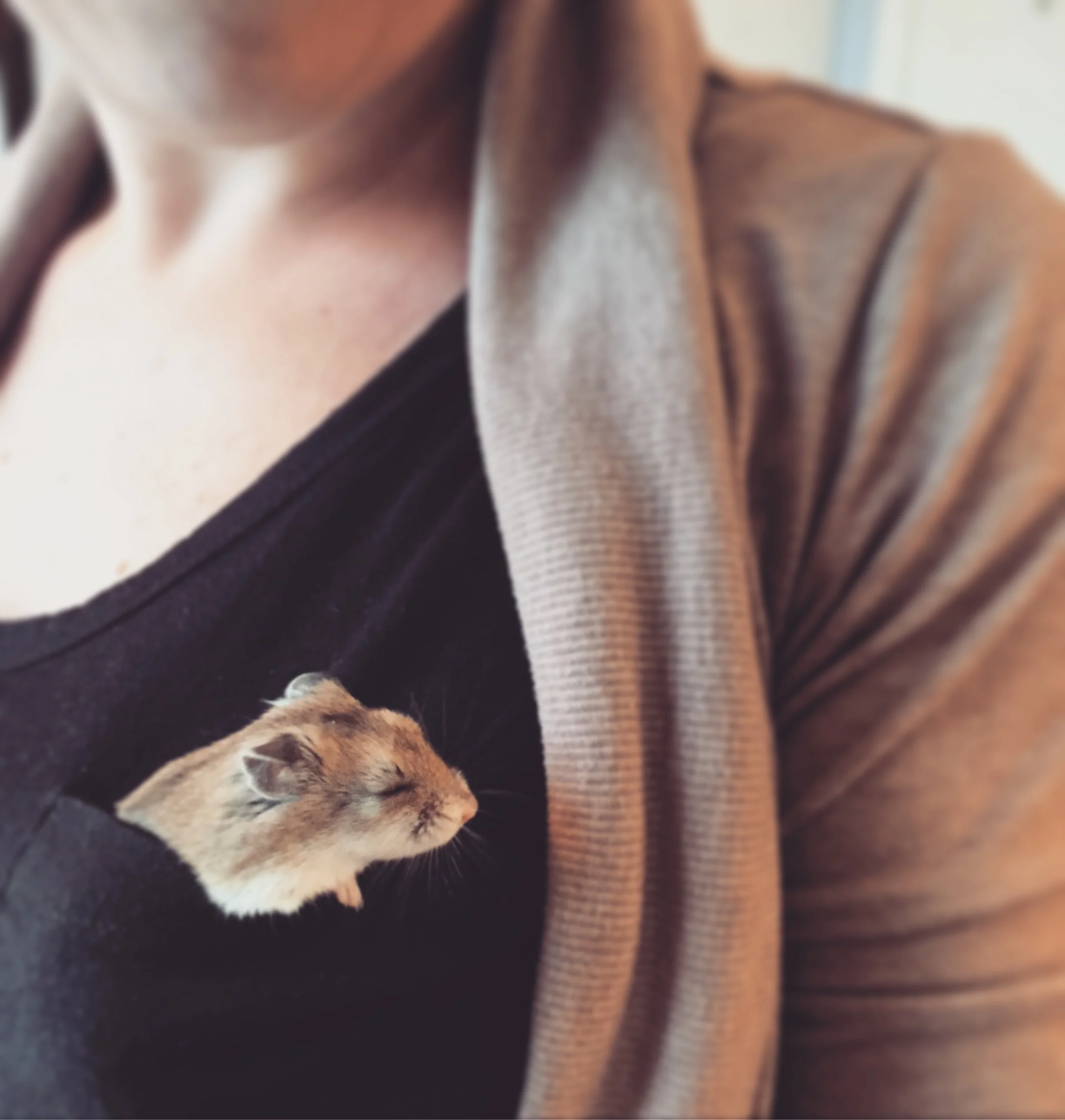 Episode 60: Rest in peace, Willow.