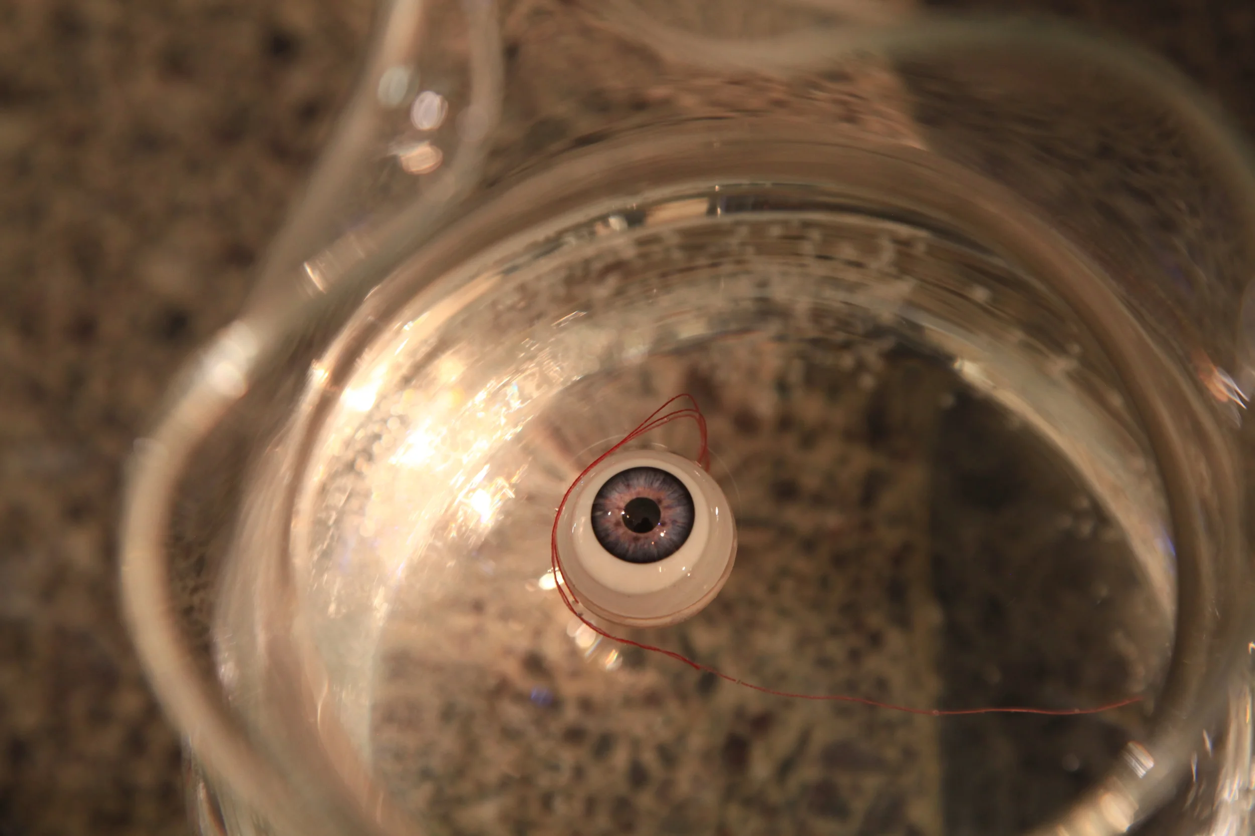  remnants  photo by Daniel S. DeLuca 