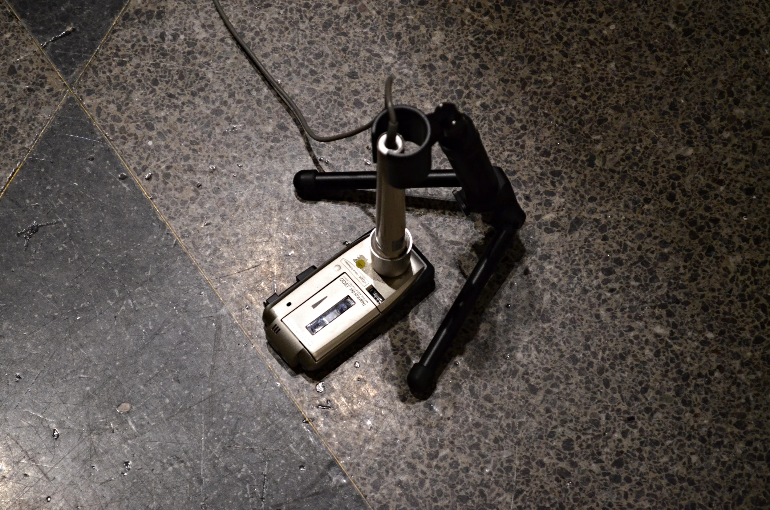  Photo by Elaine Thap 