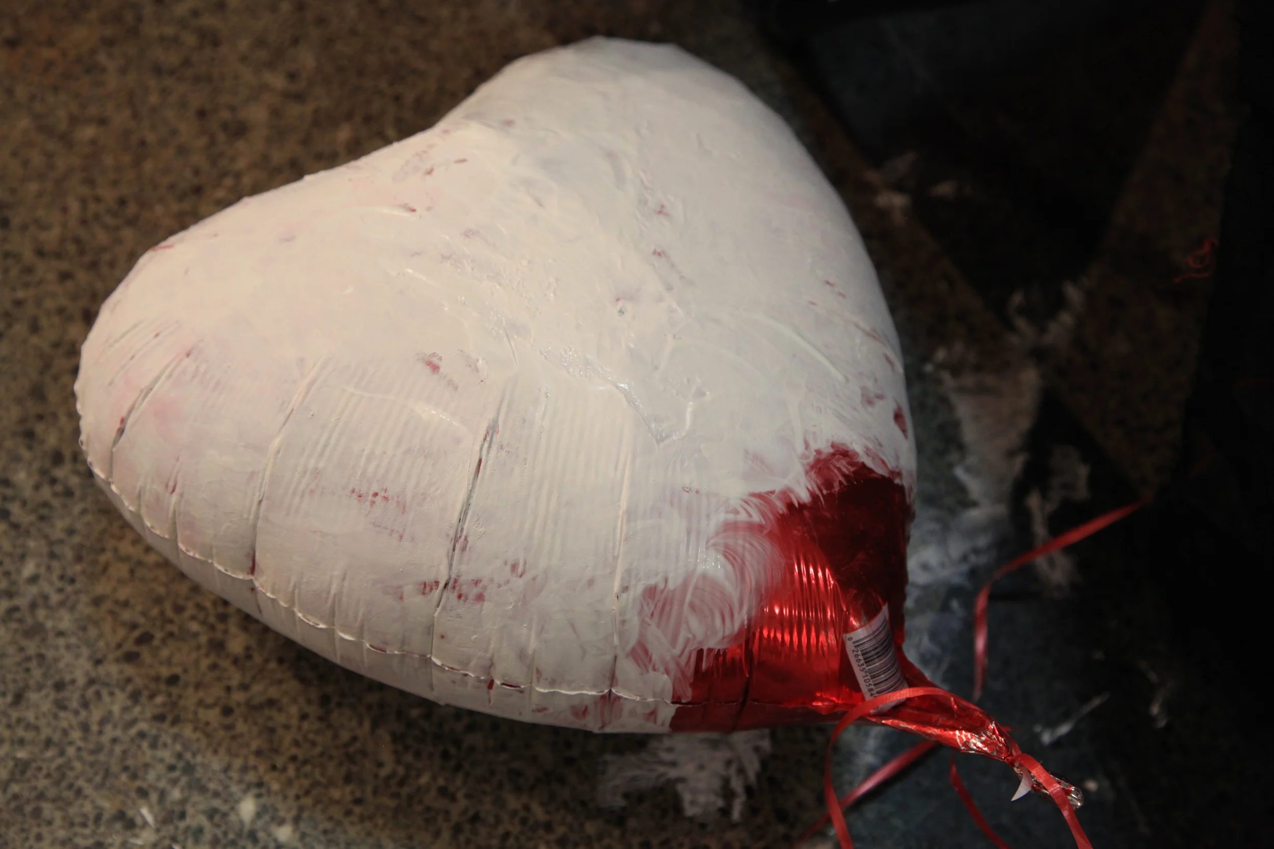  photo by Daniel S. DeLuca 