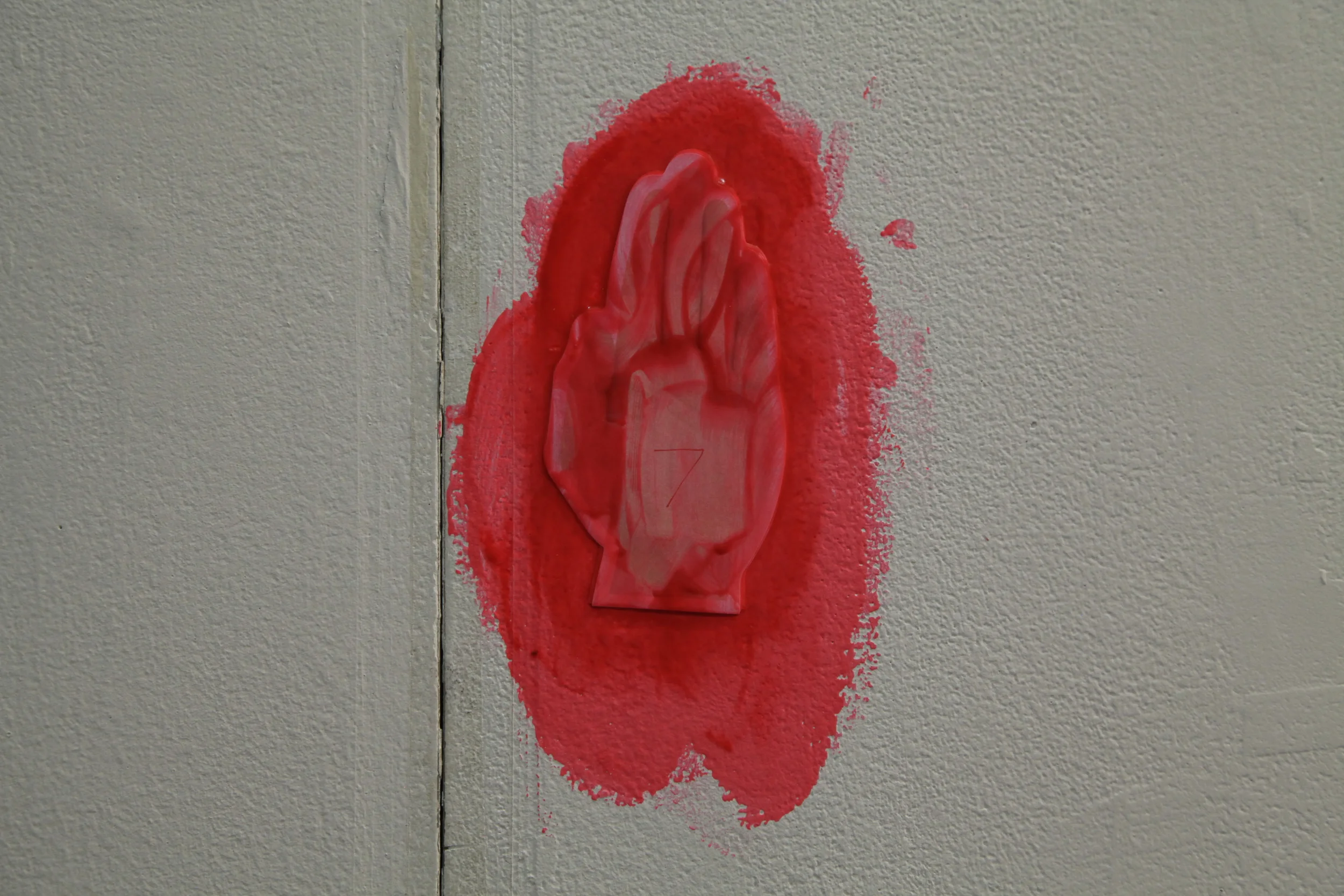  photo by Daniel S. DeLuca 