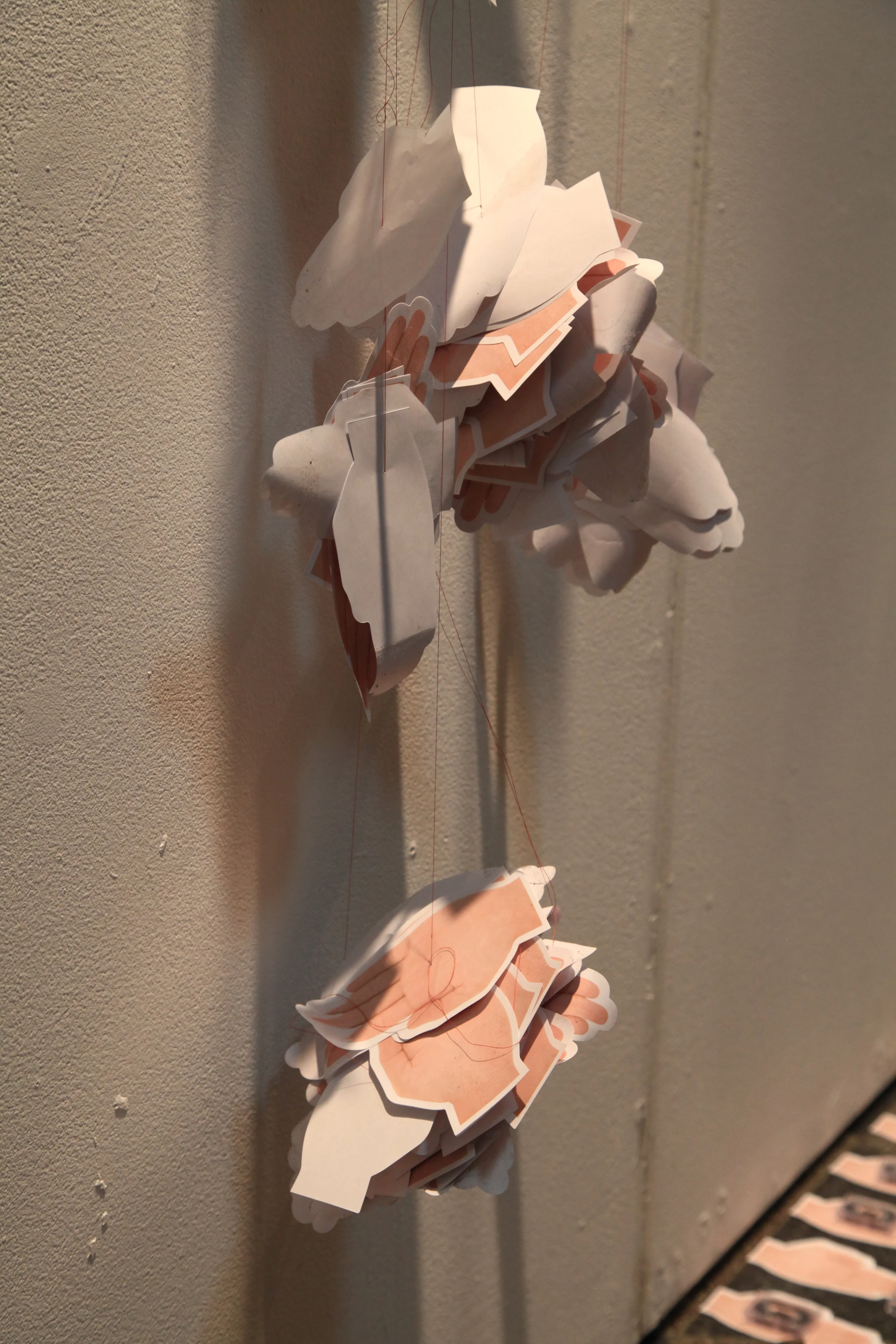  photo by Daniel S. DeLuca 