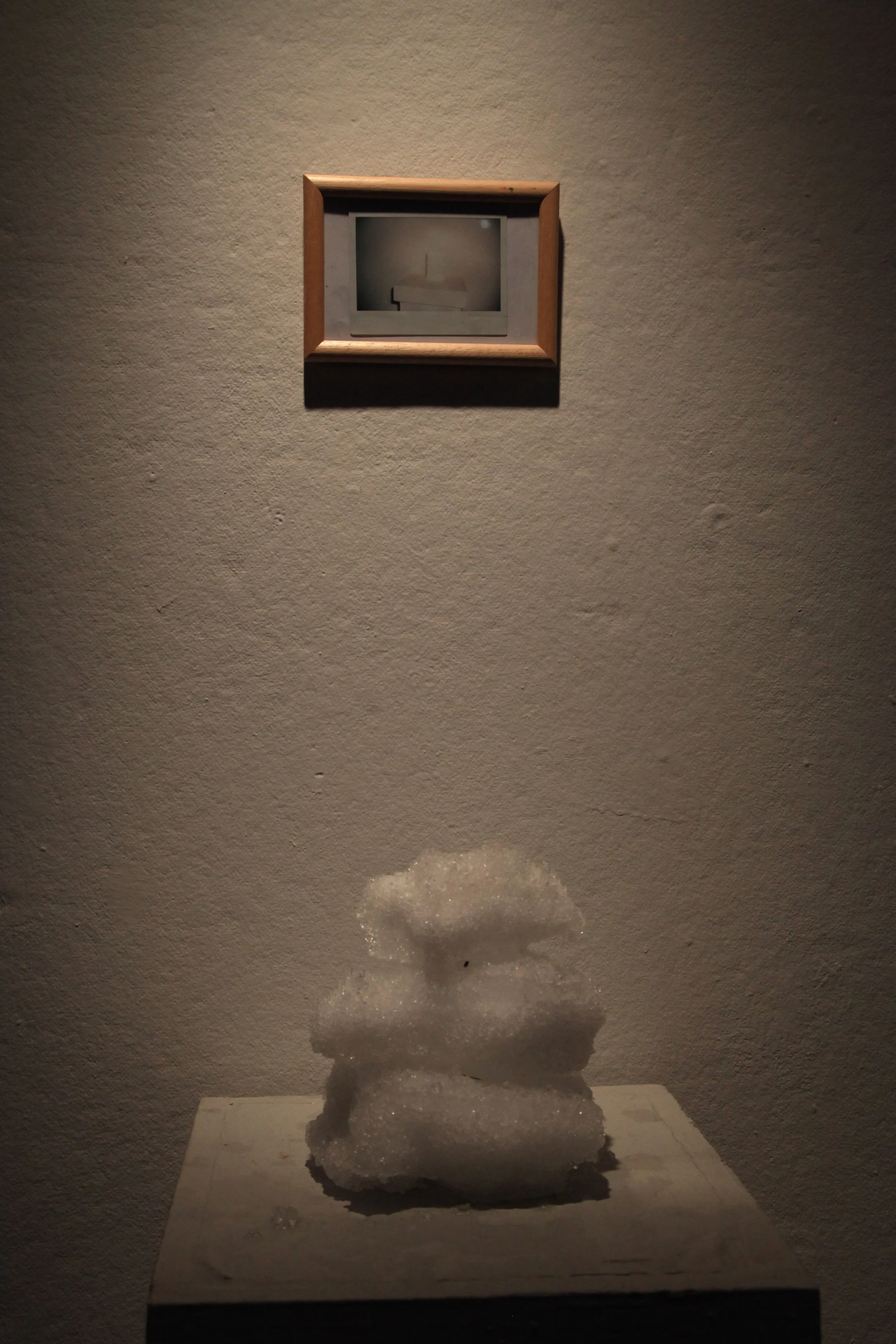  photo by Sandrine Schaefer 