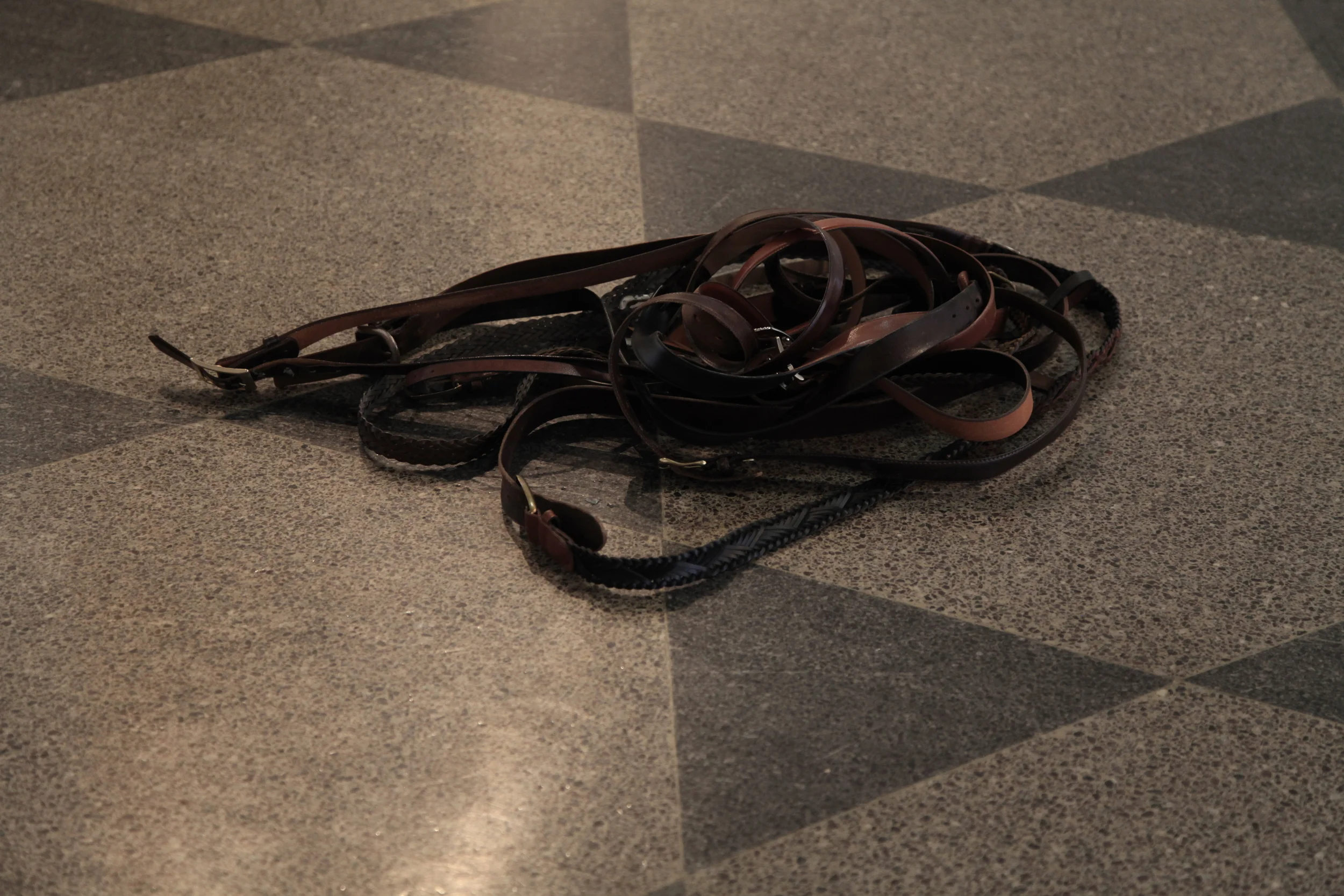  photo by Elaine Thap 