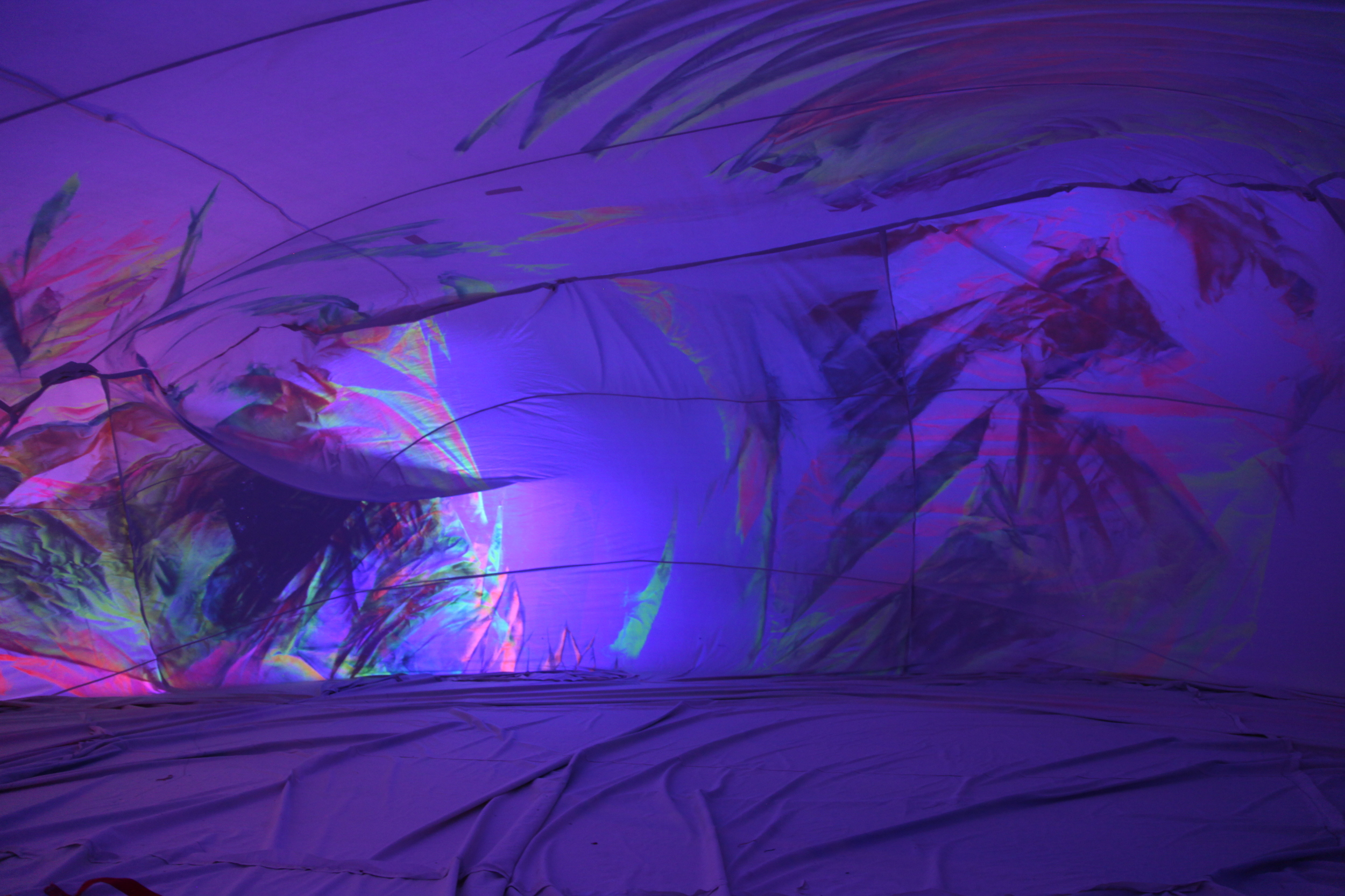  Inside view of  Ruddy Udder  2012 photo by Daniel S. DeLuca 