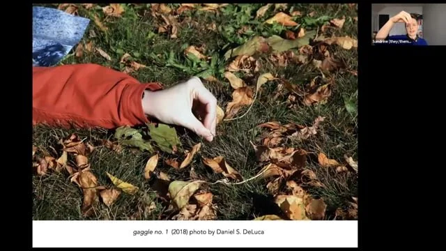 Sandrine Schaefer "gaggle: Interspecies Entanglements in the Everyday" April 2021