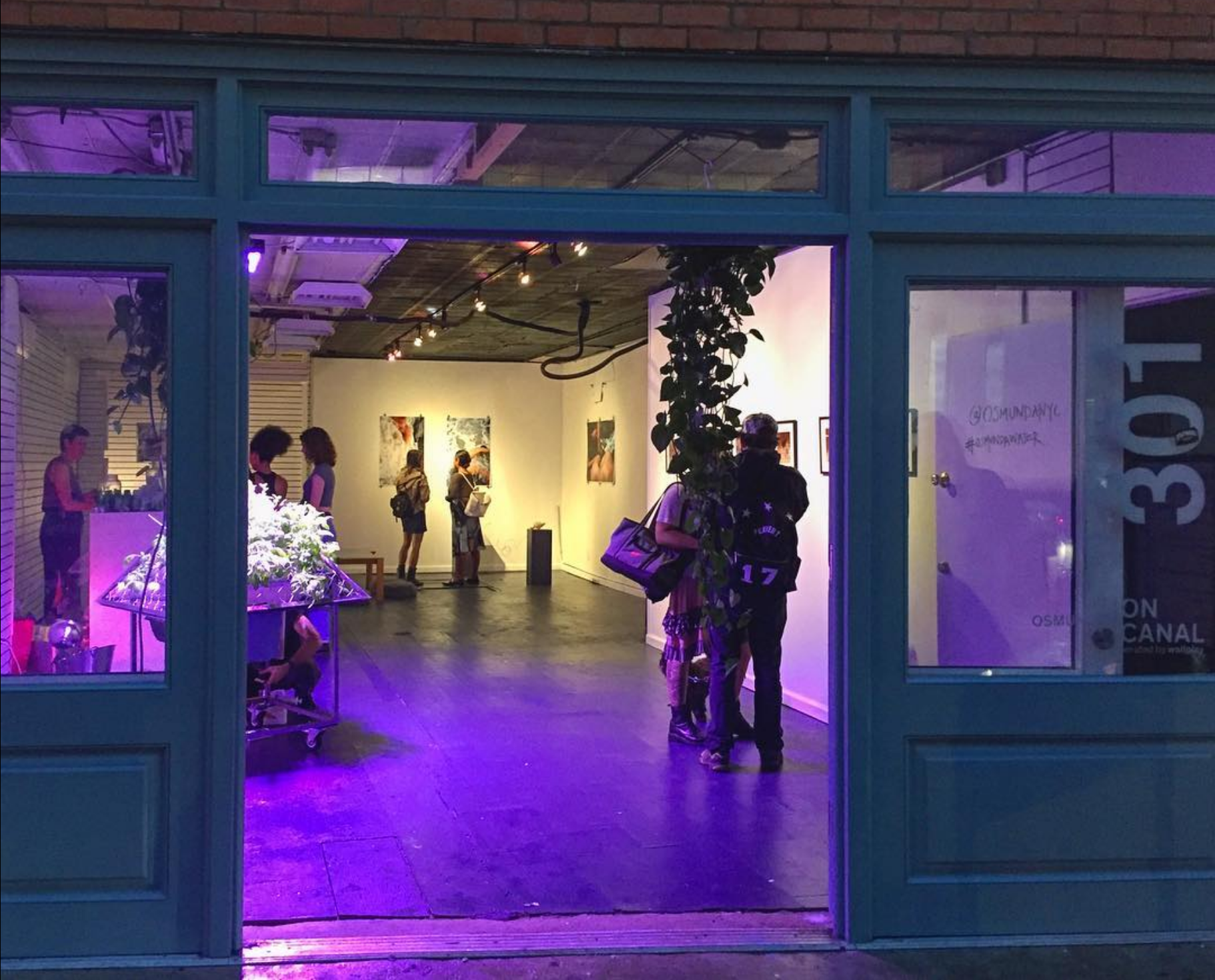 Screenshot 2024-02-20 at 16-18-54 OSMUNDA __ (re)Wilding NYC (@osmundanyc) • Instagram photos and videos.png