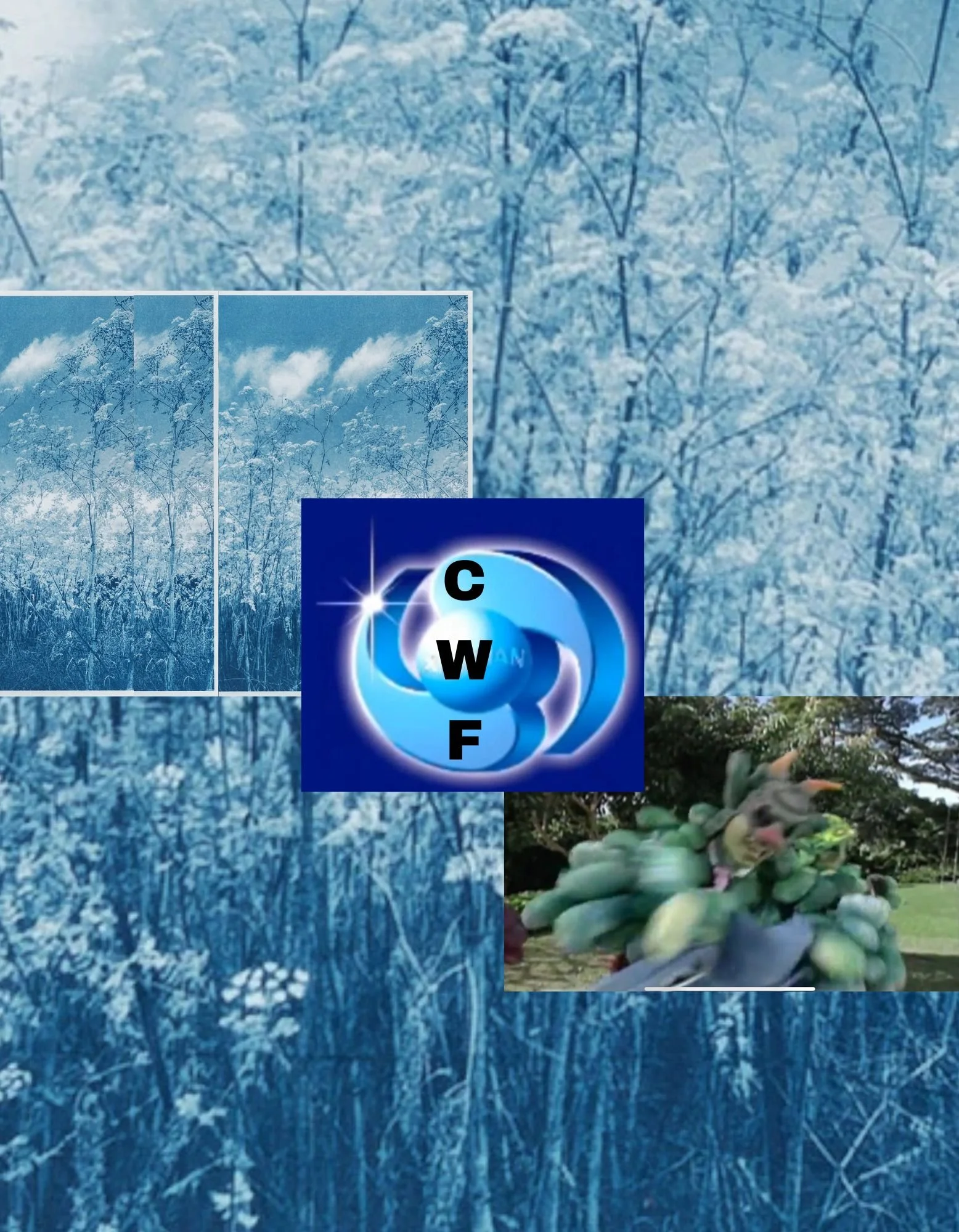 CWF - 1.jpg