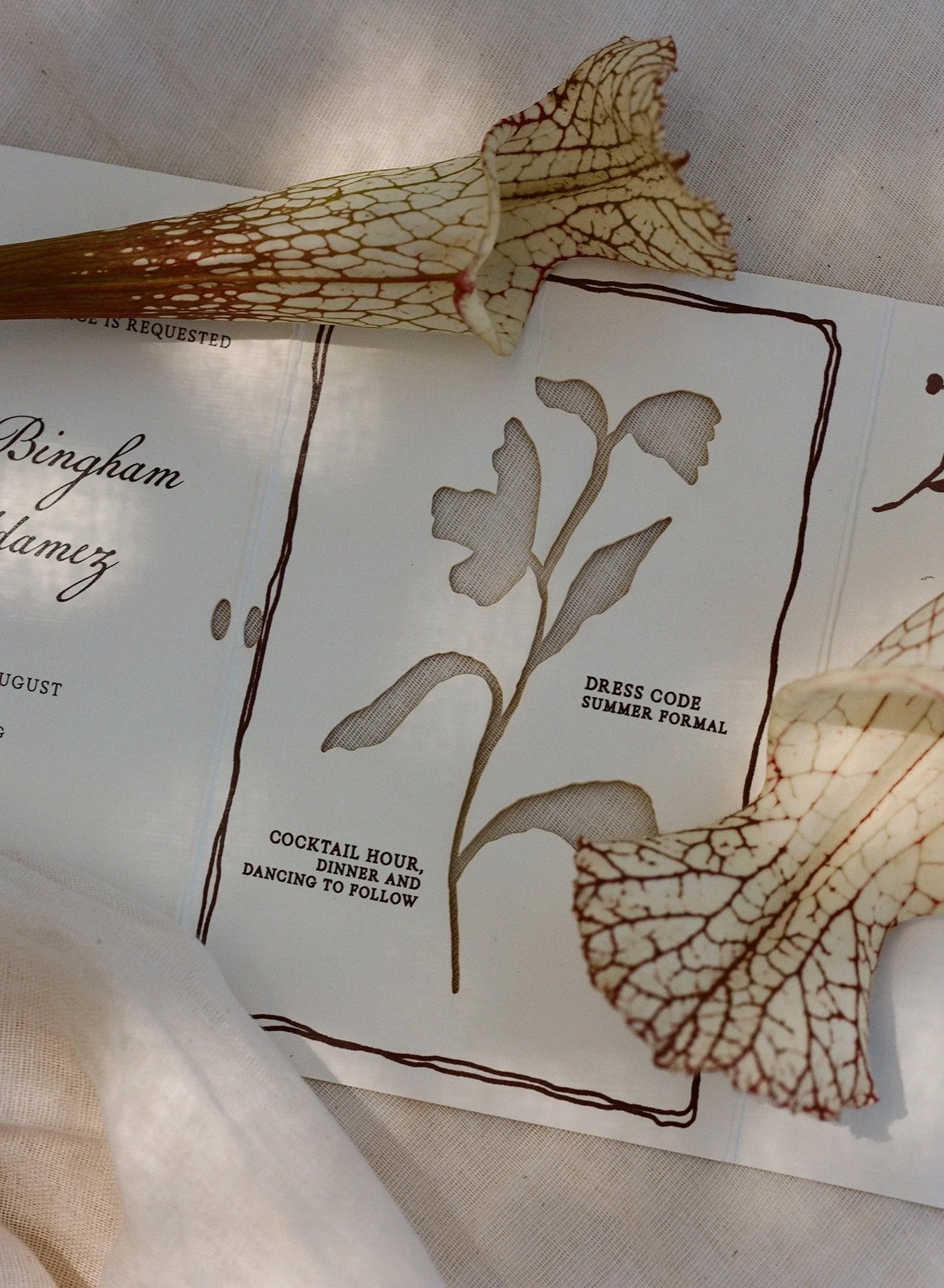 tempImageQOkWu1expressive_avante_garde_Rosewood_miramar_santa_barbara_wedding.jpg