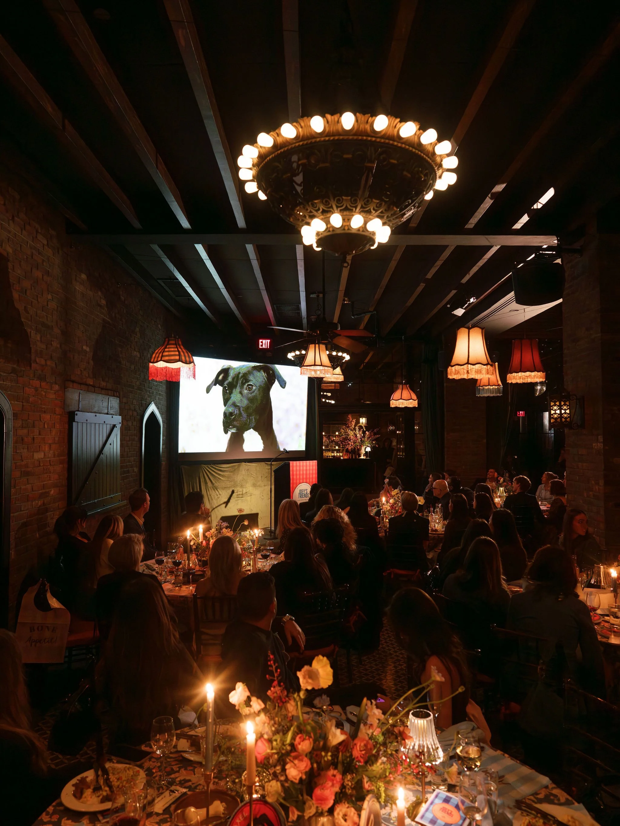 2026-Joeys-Friends-Gala-Photo©Corbin-Gurkin-0528.jpg