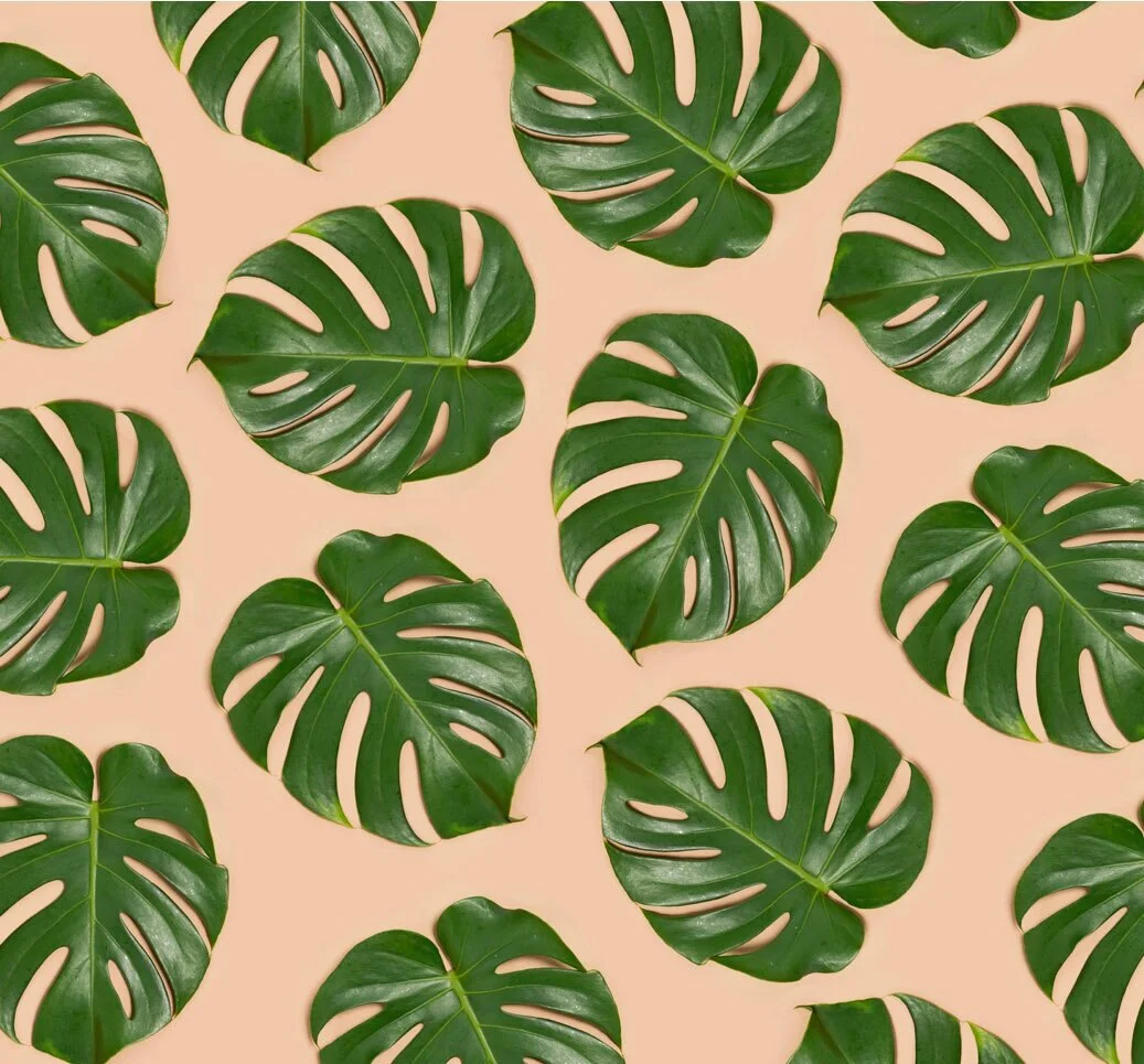 leaves.jpg