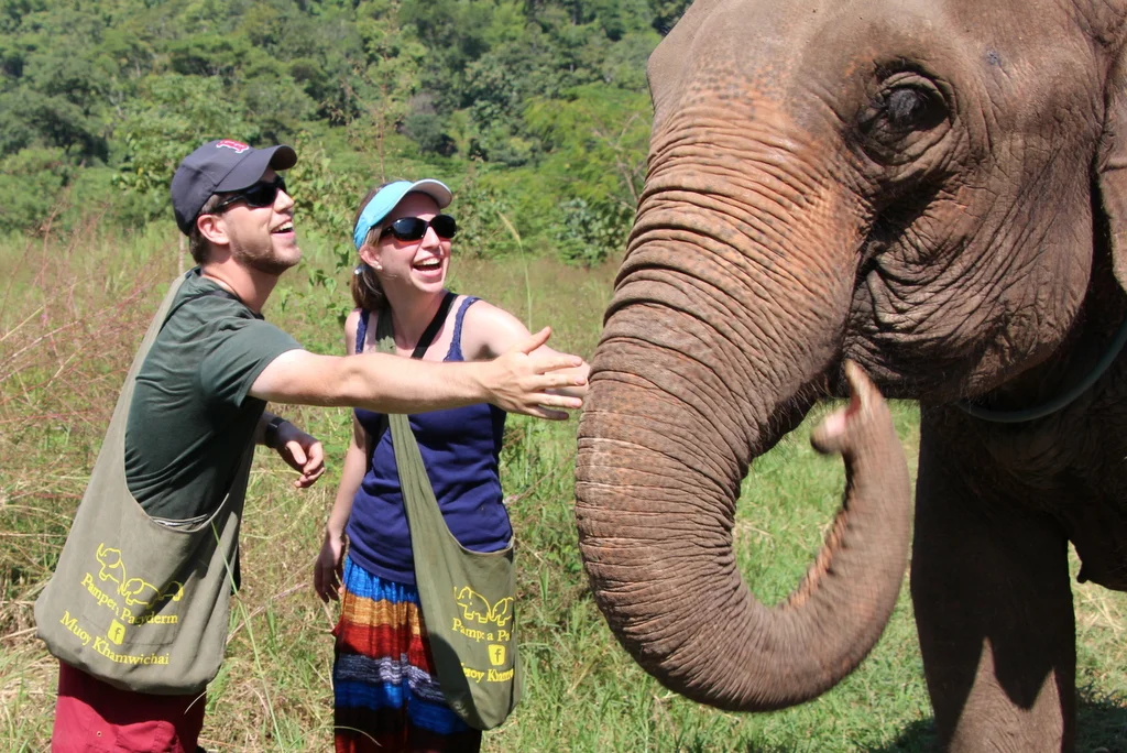 Our day with the elephants in Chiang Mai was the single most fun day of the entire trip