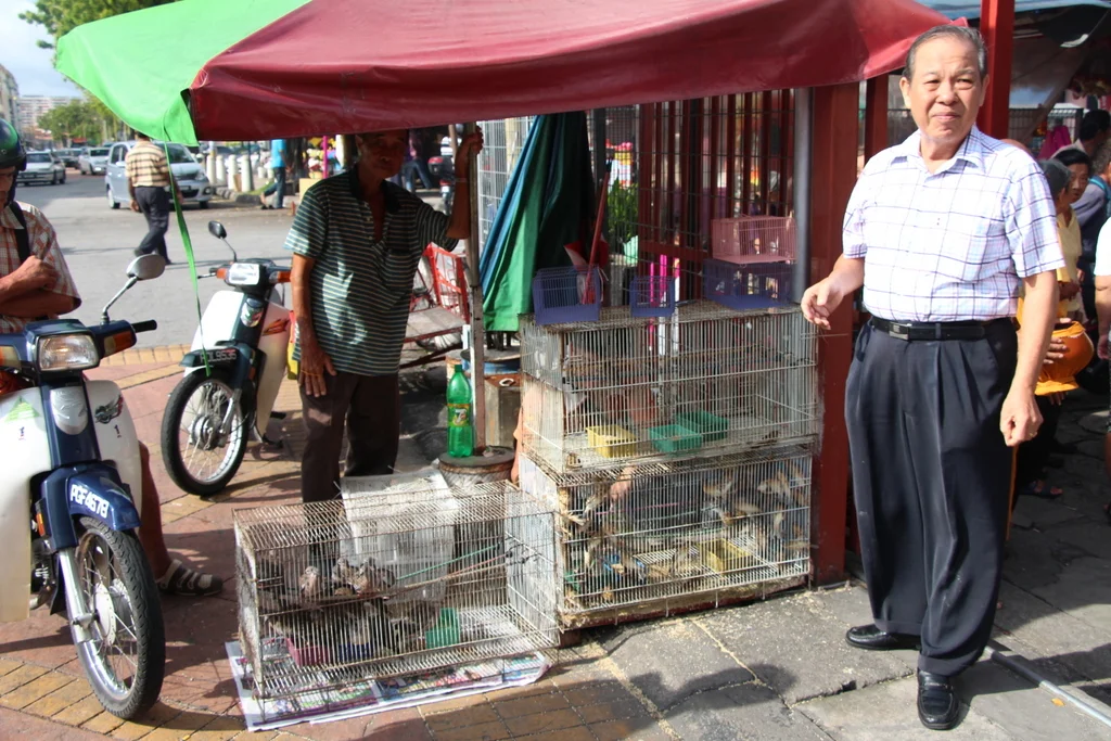 Birds for sale! This vendor takes the birds you purchase and puts them into a smaller cage for releasing.