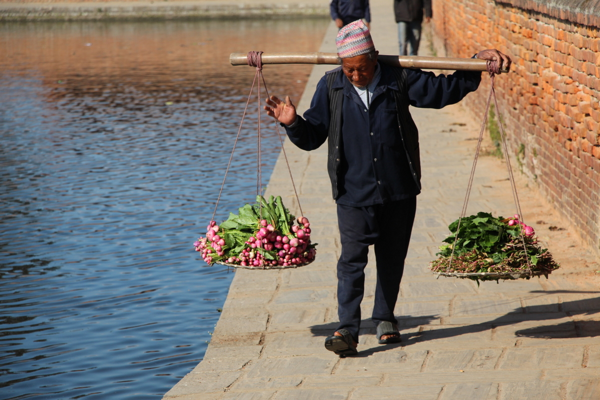 A man carrying vegetables for sale near beside a retaining pond in Bhaktapur