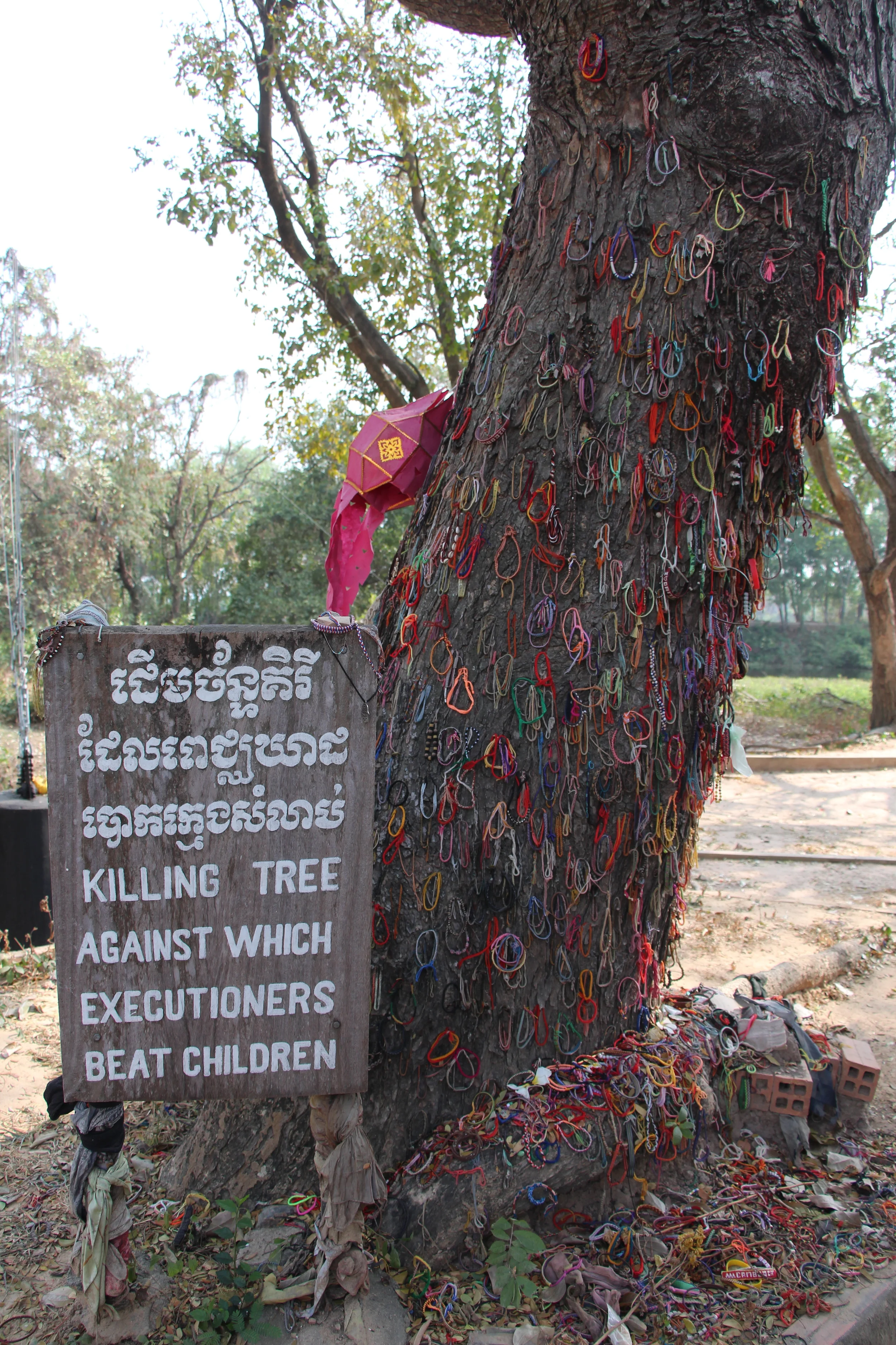 Labeled the "killing tree," Khmer Rouge soldiers would literally beat babies heads against the tree, crushing them and killing the children. The bands on the tree and in other photos are left by visitors in remembrance and acknowledgement.