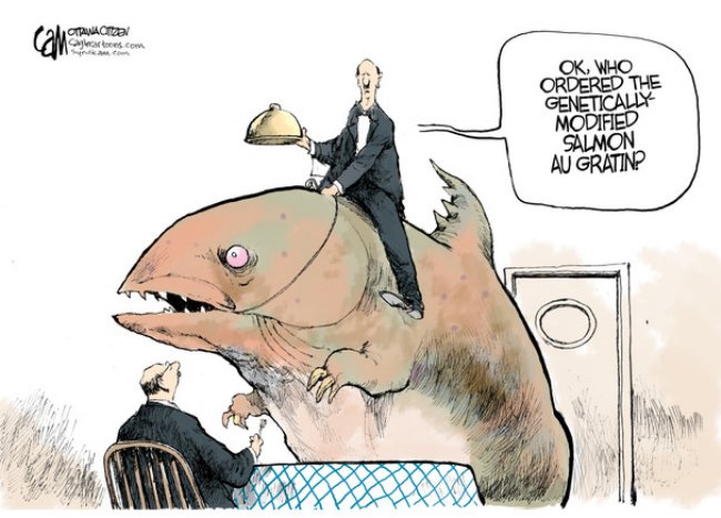 Thanks Monsanto!