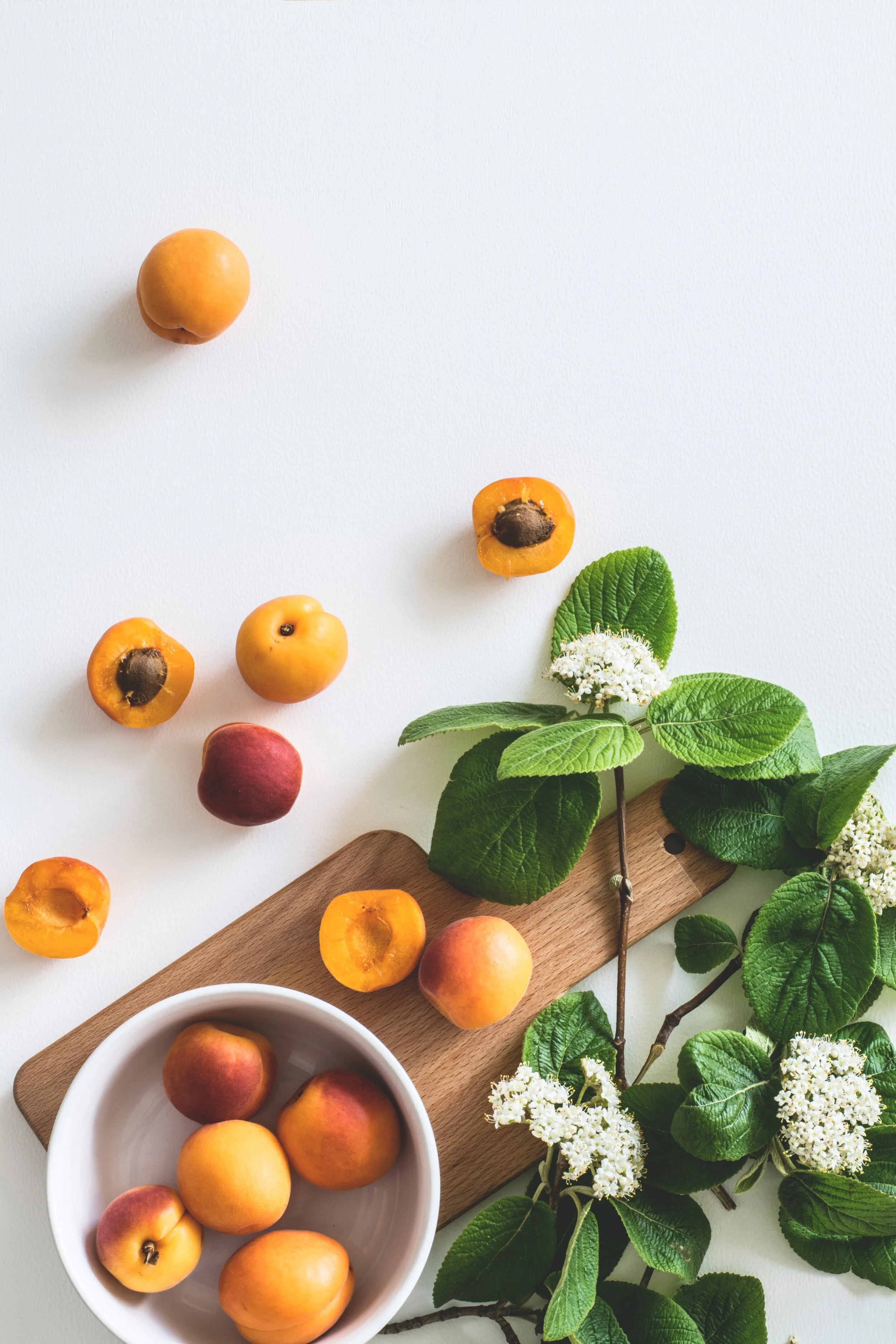 apricot elderflower recipe.jpg