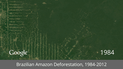 Brazilian-Amazon-Deforestation.gif