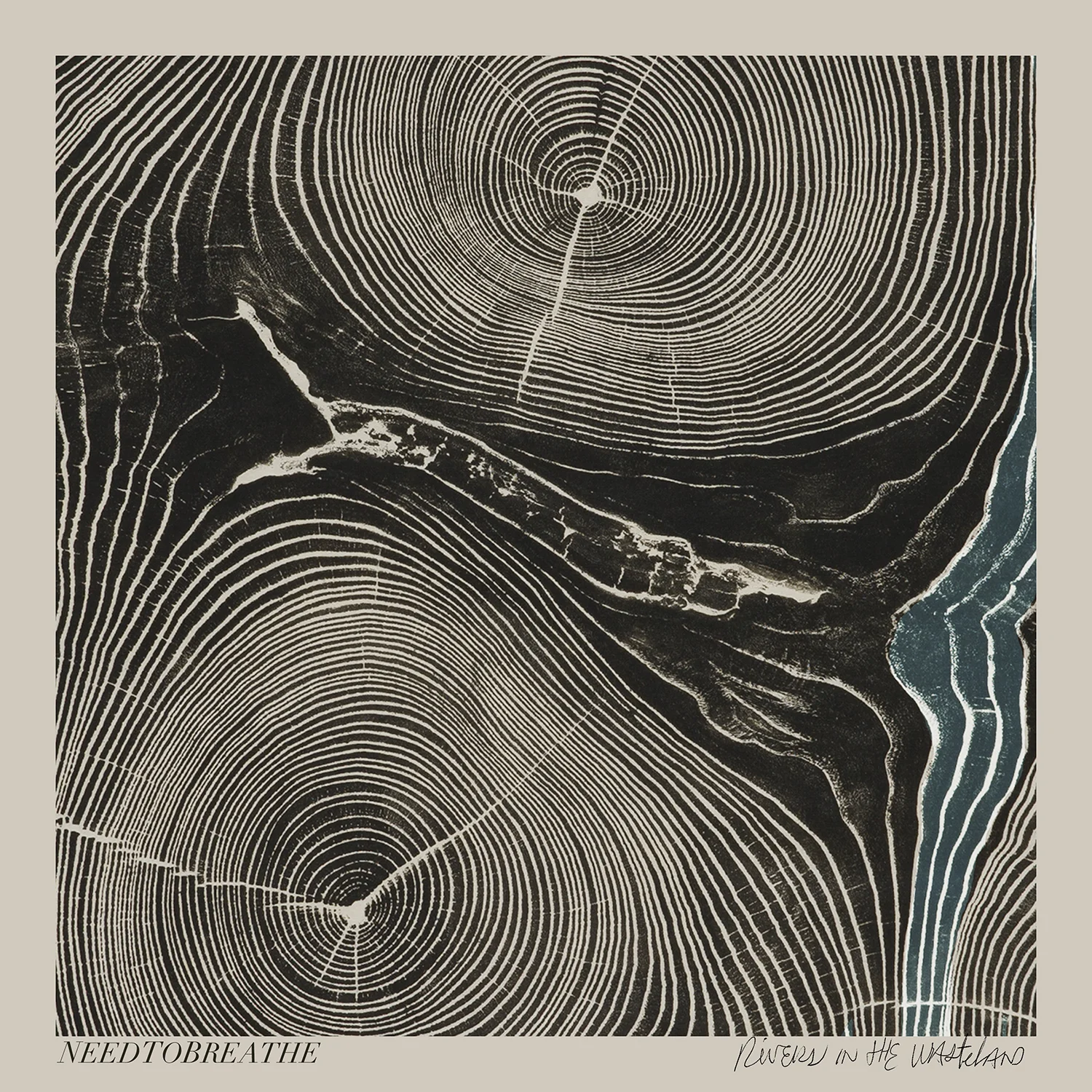 Rivers In The Wasteland | NEEDTOBREATHE