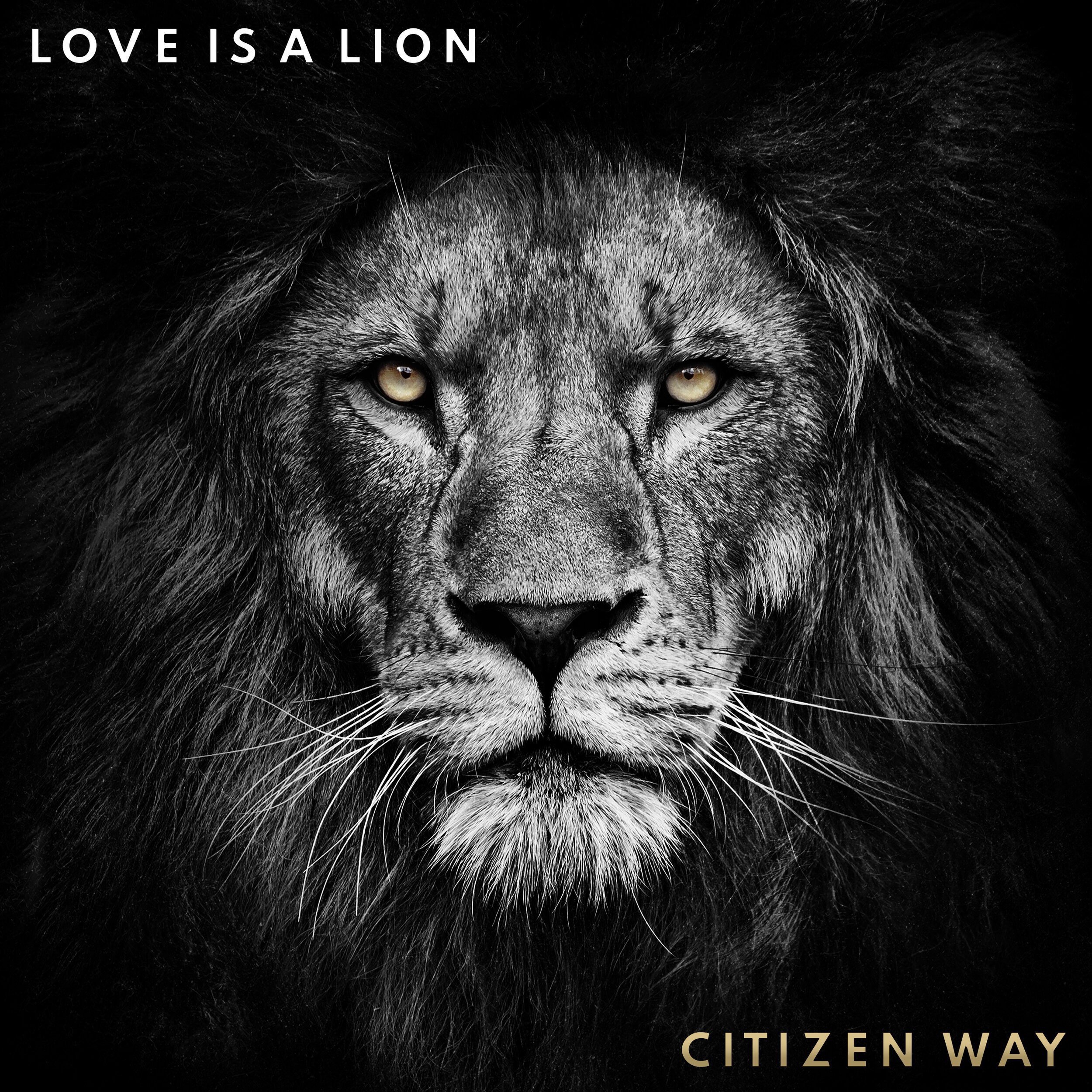 Citizen Way To Drop New Album “Love Is A Lion” October 18th 15 City Tour to  Launch September 27th — the media collective