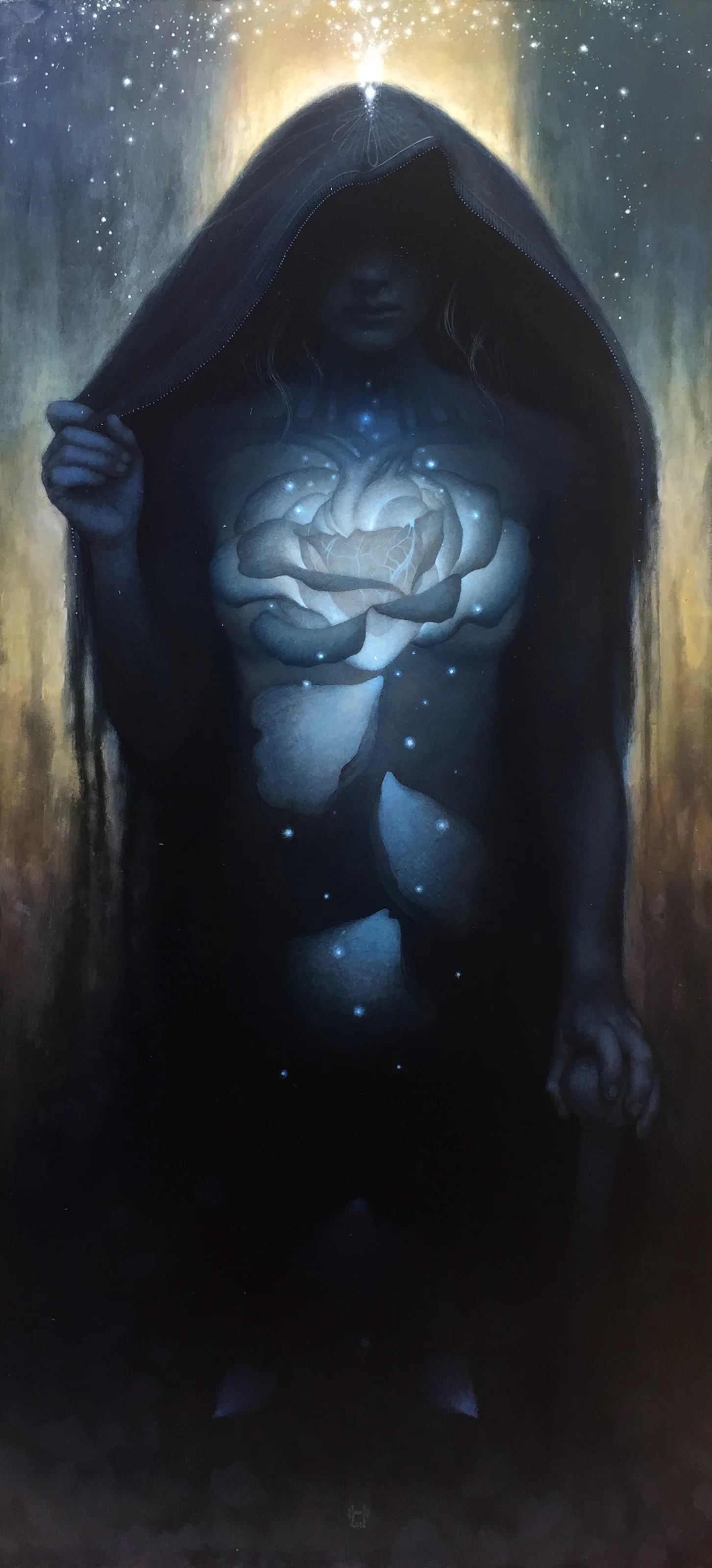 Lacuna