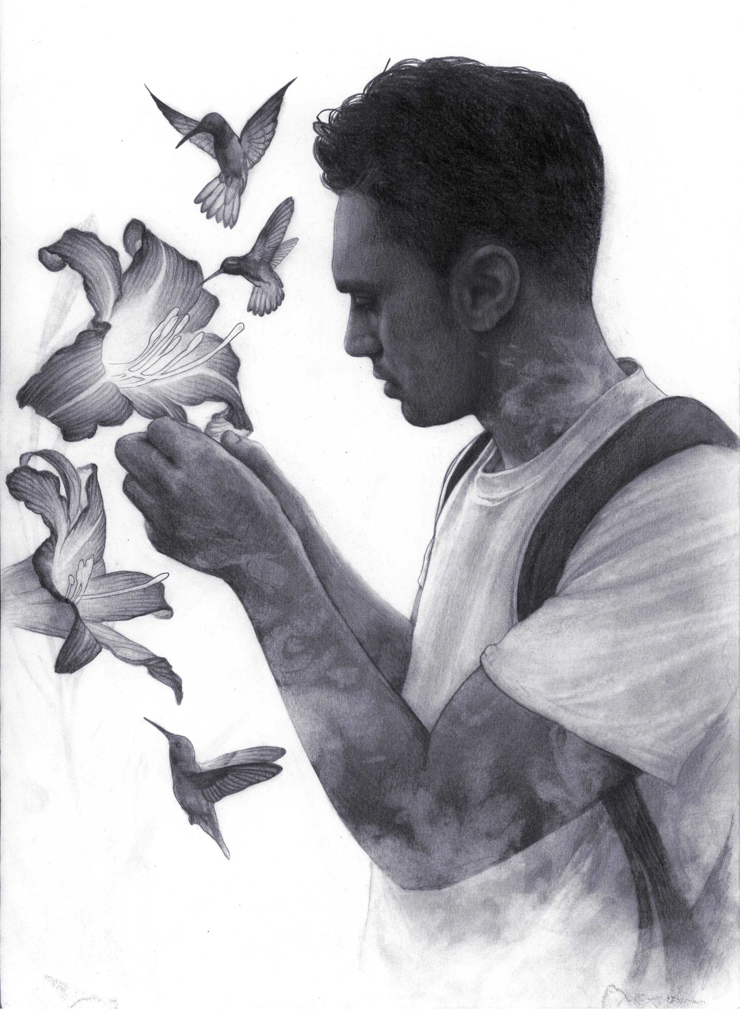 Hummingbird