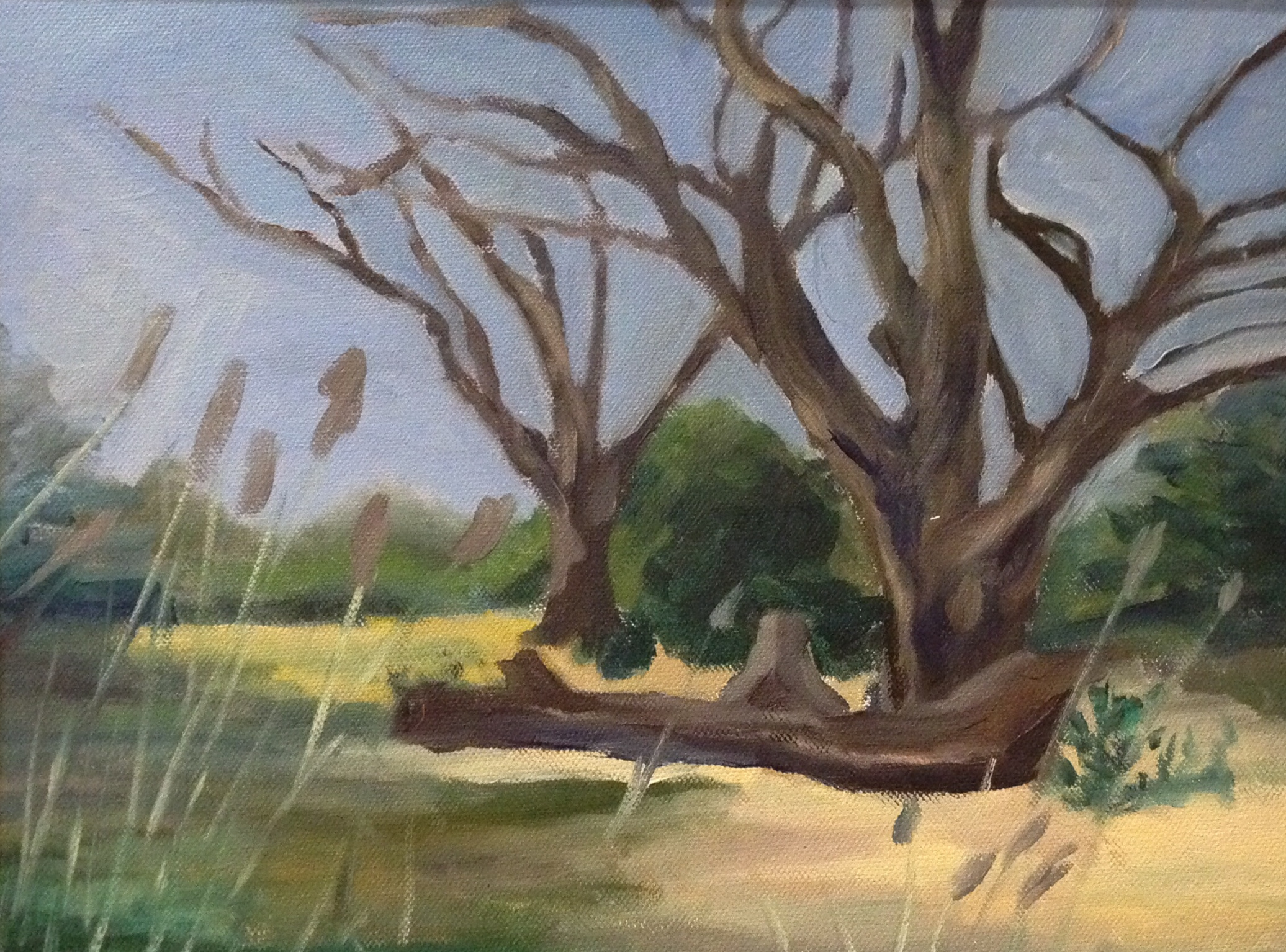 "Two Trees"