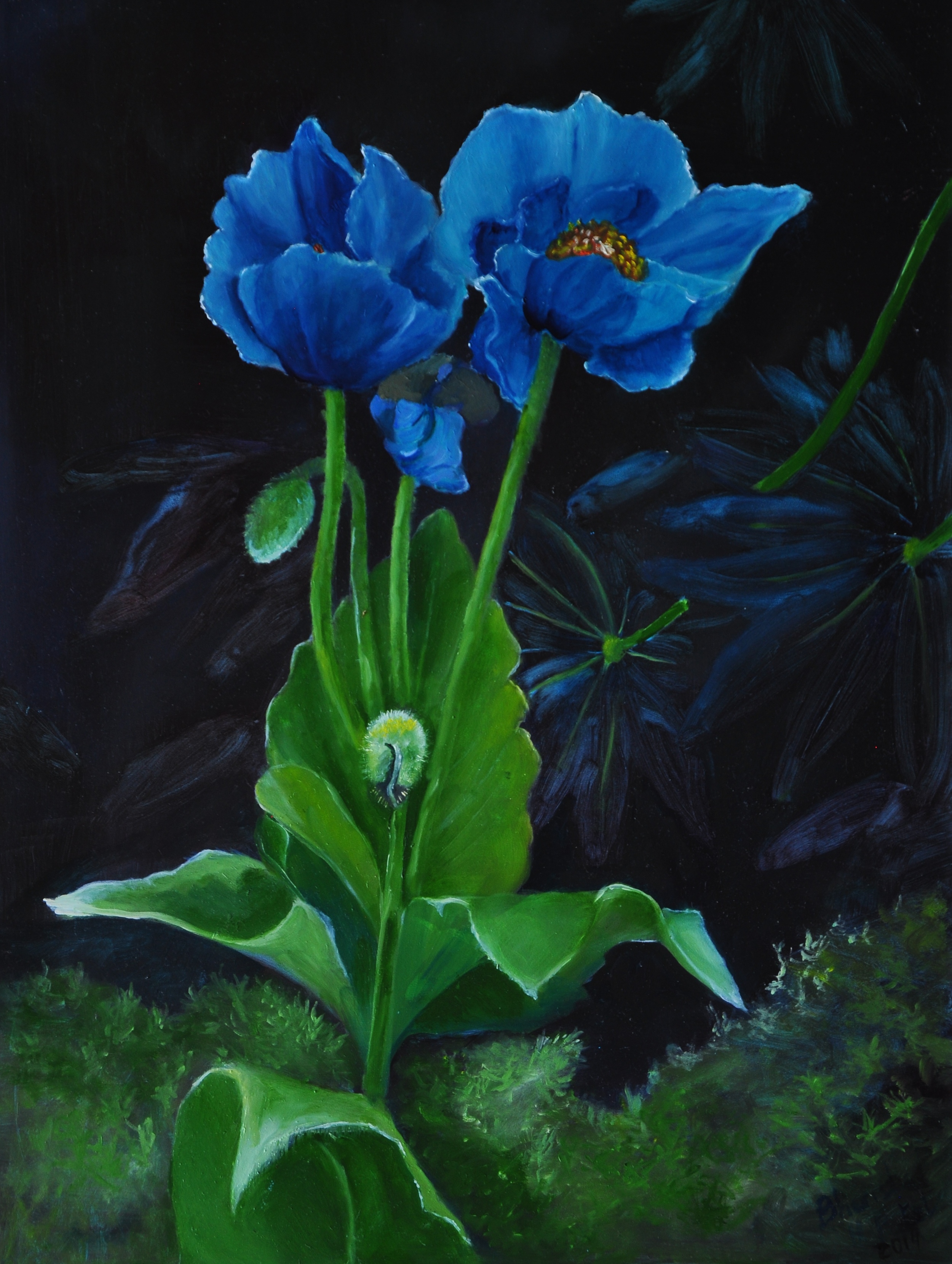 Resurrection Blooming in Blue (Copy)
