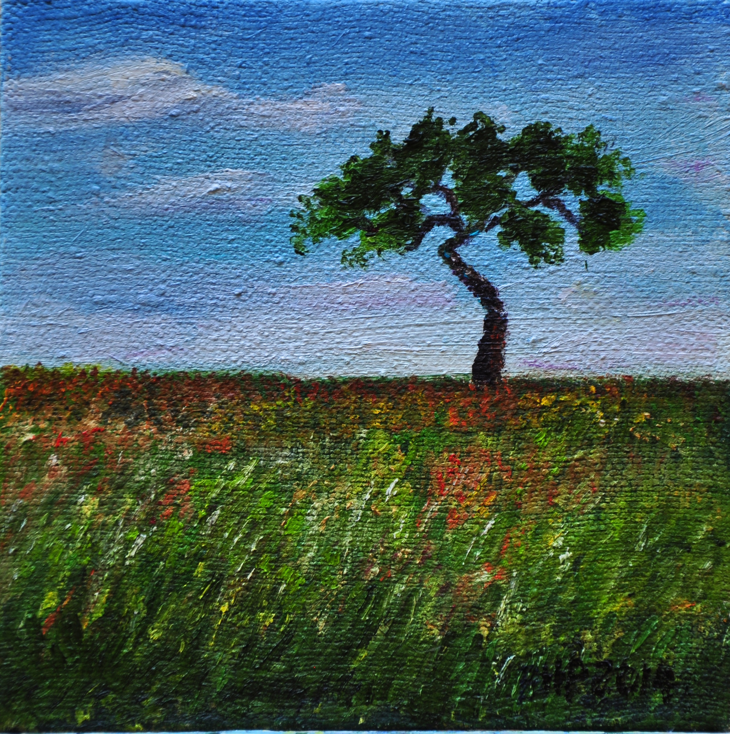 "Beauty In Solitude" (Copy)