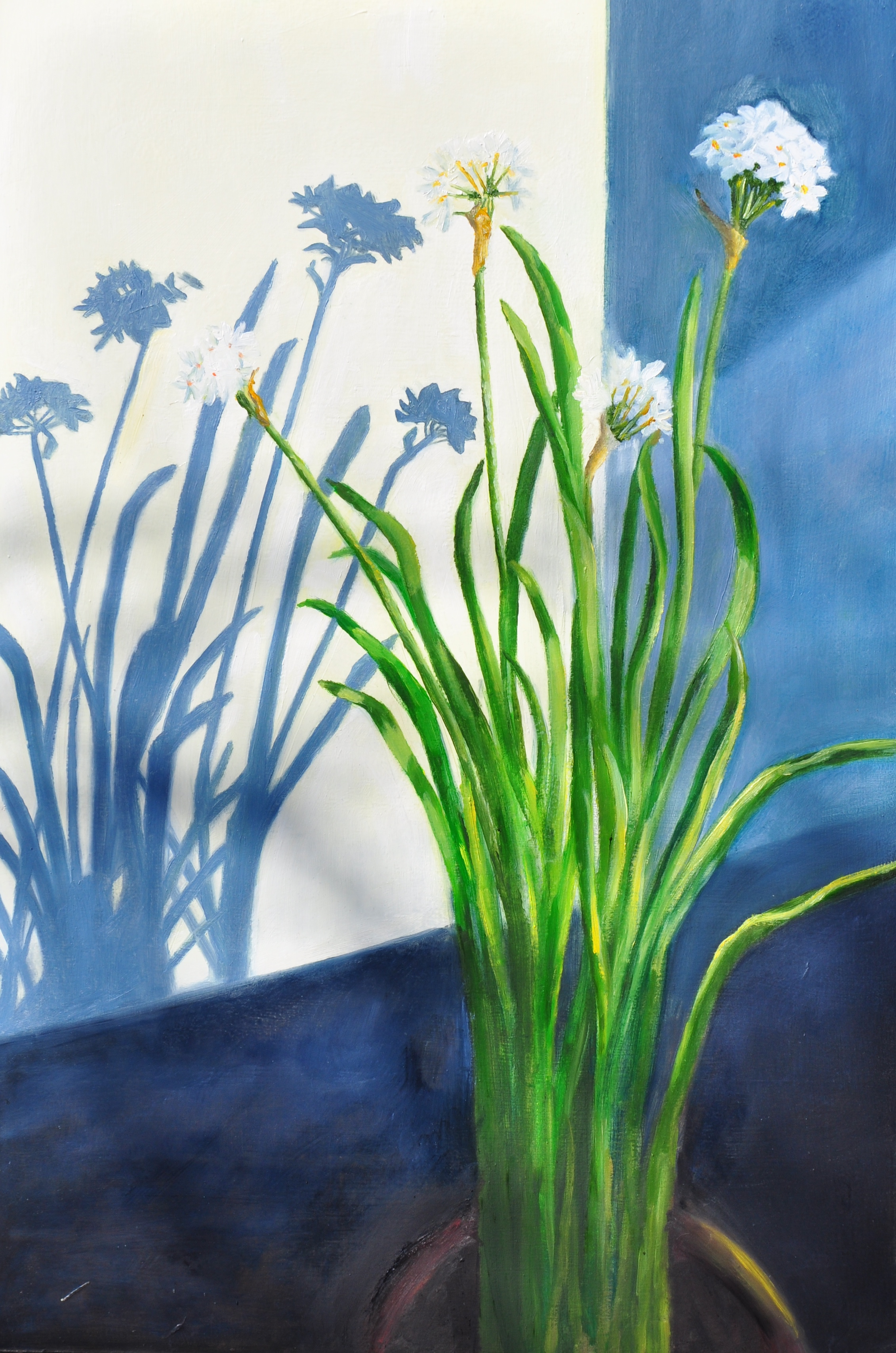 Paperwhites, 2015. Oil on canvas, 16" by 24" $960 (Copy)