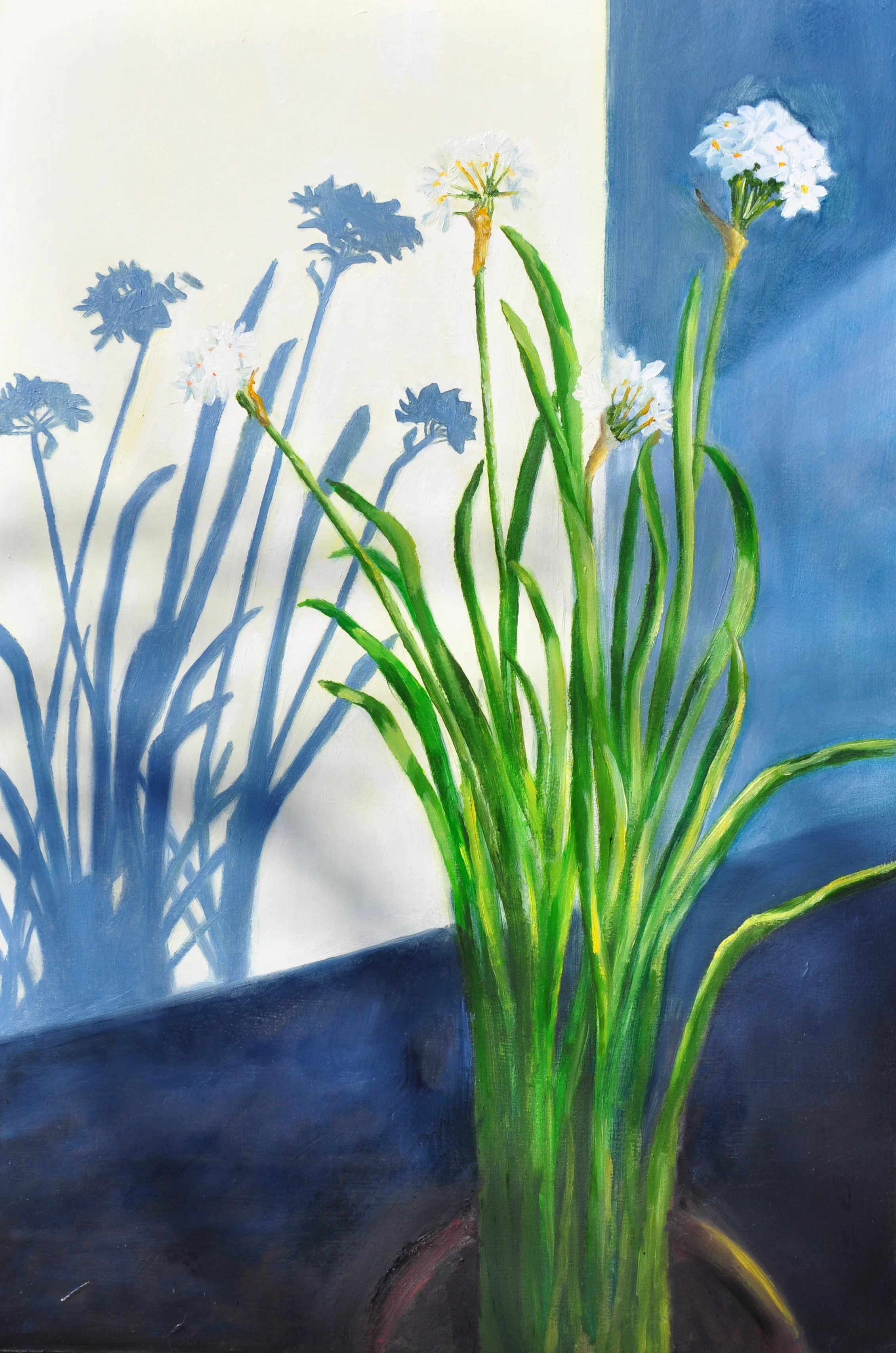 Paperwhites, 2015. Oil on canvas, 16" by 24"