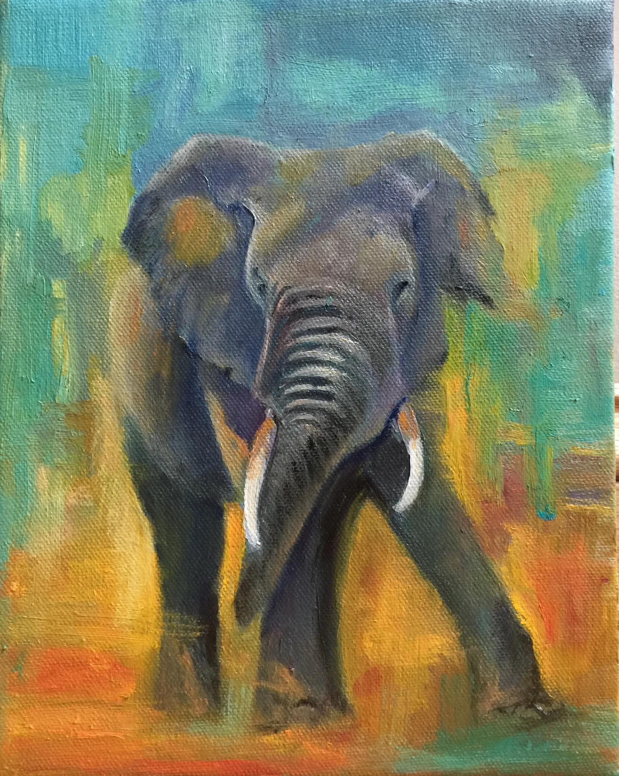 Study of a Young Bull, 2017. Oil on canvas, 10" by 8" (SOLD)