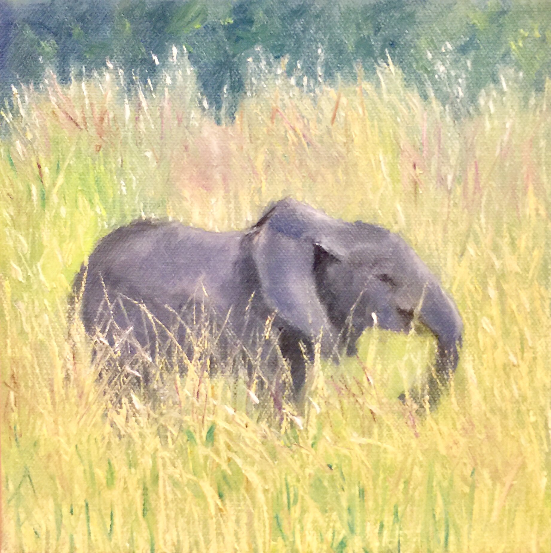 Joy in the Savanna, oil on canvas, 8"x8" Not Available (Copy)