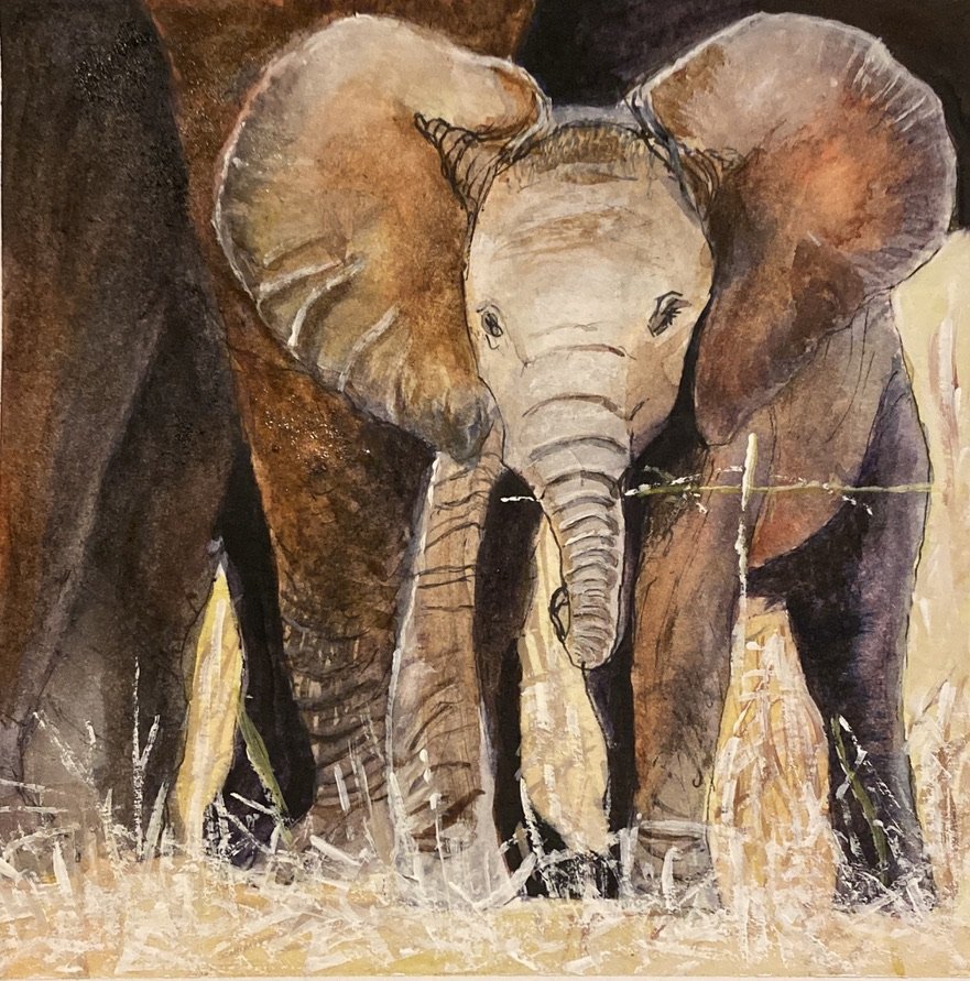 6” by 6” watercolor mounted on board.