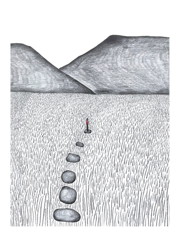 The Field -Illustration by Nadia Ackerman