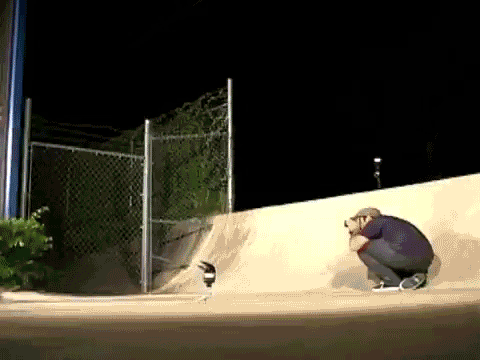 When the real tricks go down, Reda is there. Guy Mariano, pivot kickflip to fakie.
