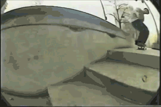 Switch backside tailslide bigspin out. Photosynthesis once again.
