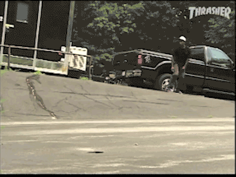 Brian Reid, krooked grind to fakie.